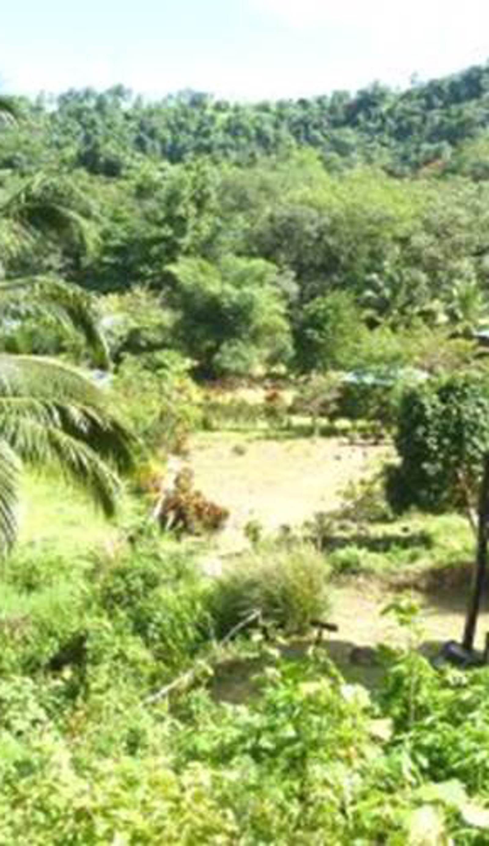 3 Rivers Eco Lodge