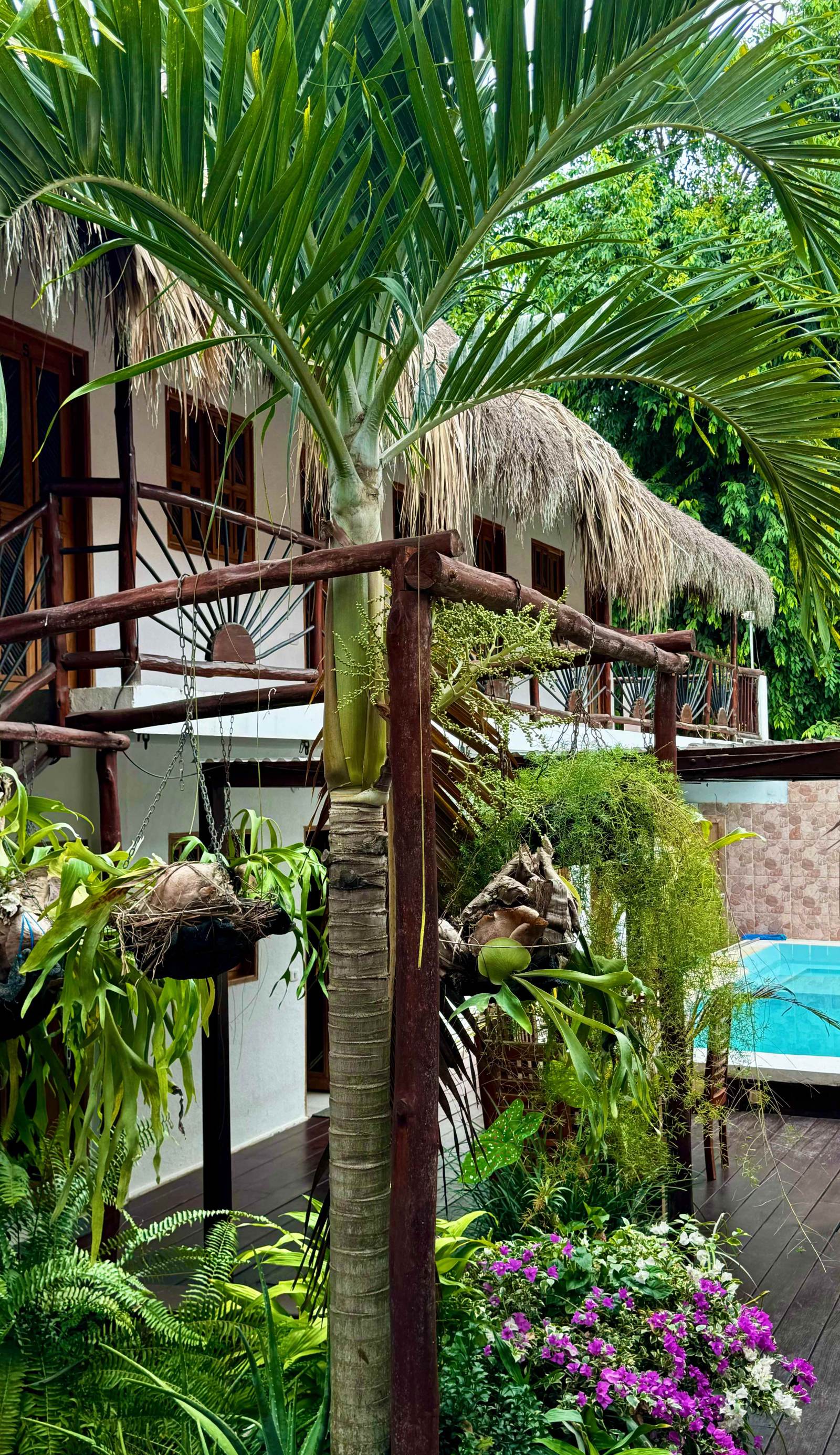 Hostal Nibuni Palomino