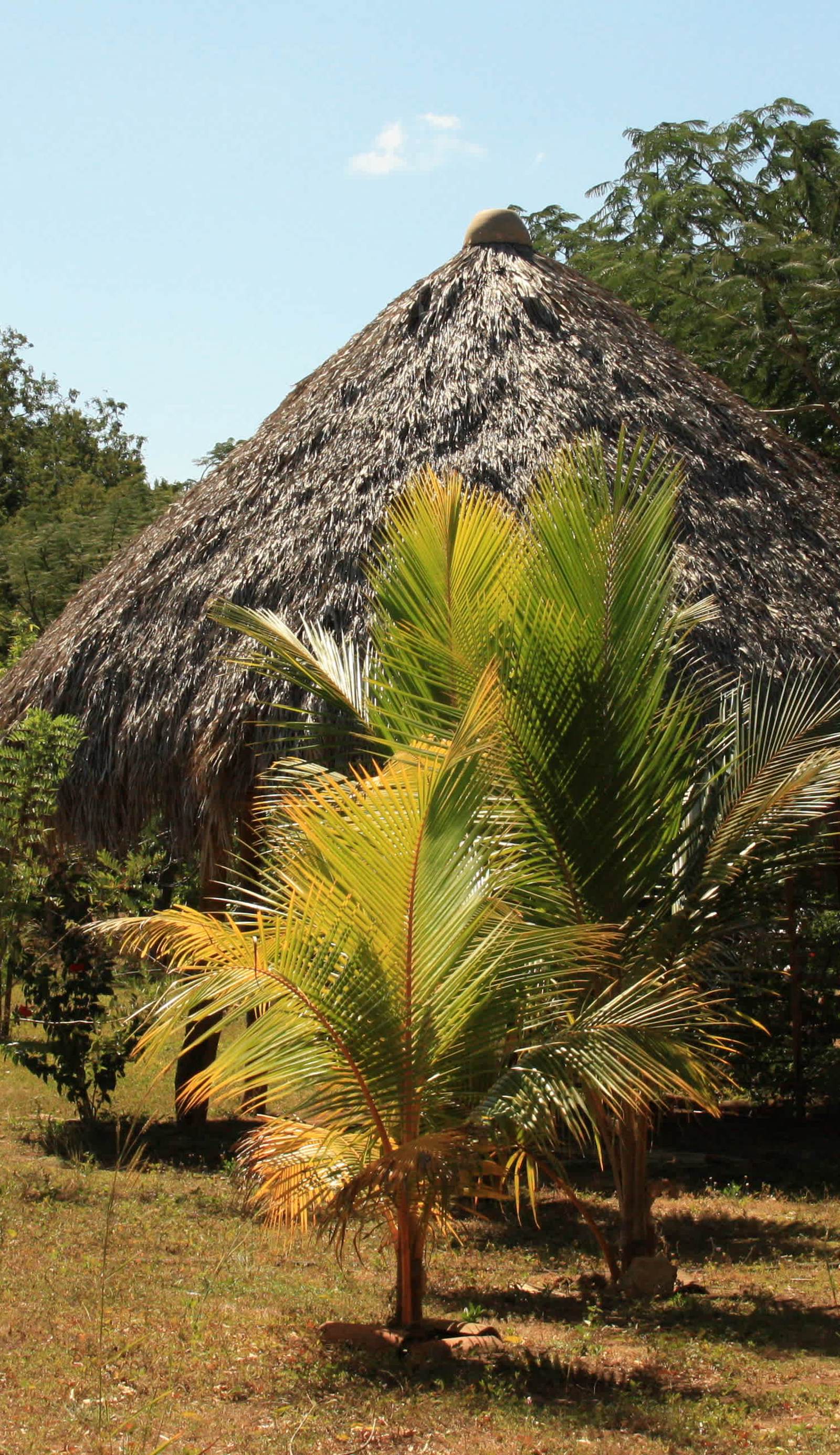 Hostal Ojo de Agua