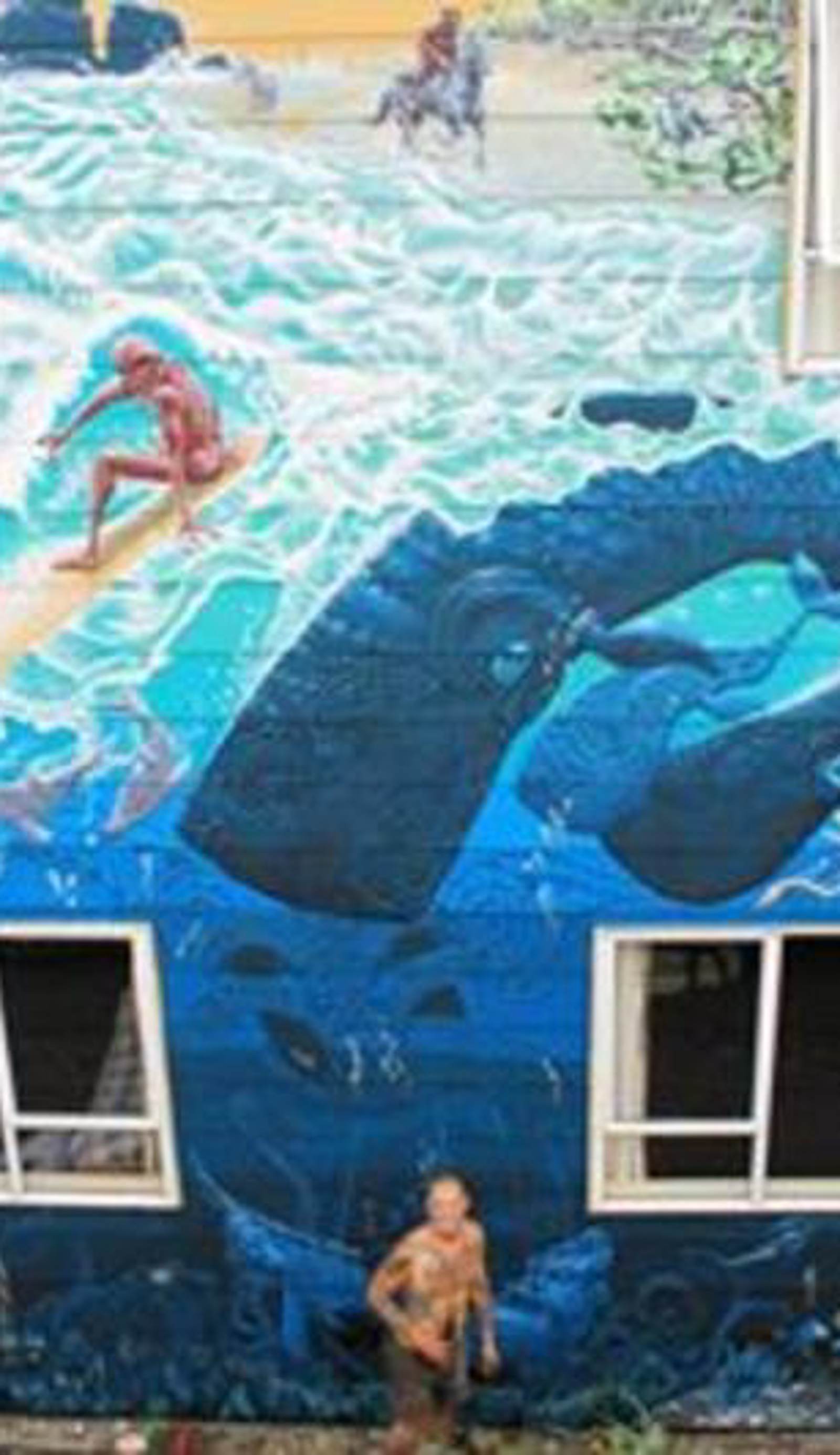 Bazils hostel & Surf school