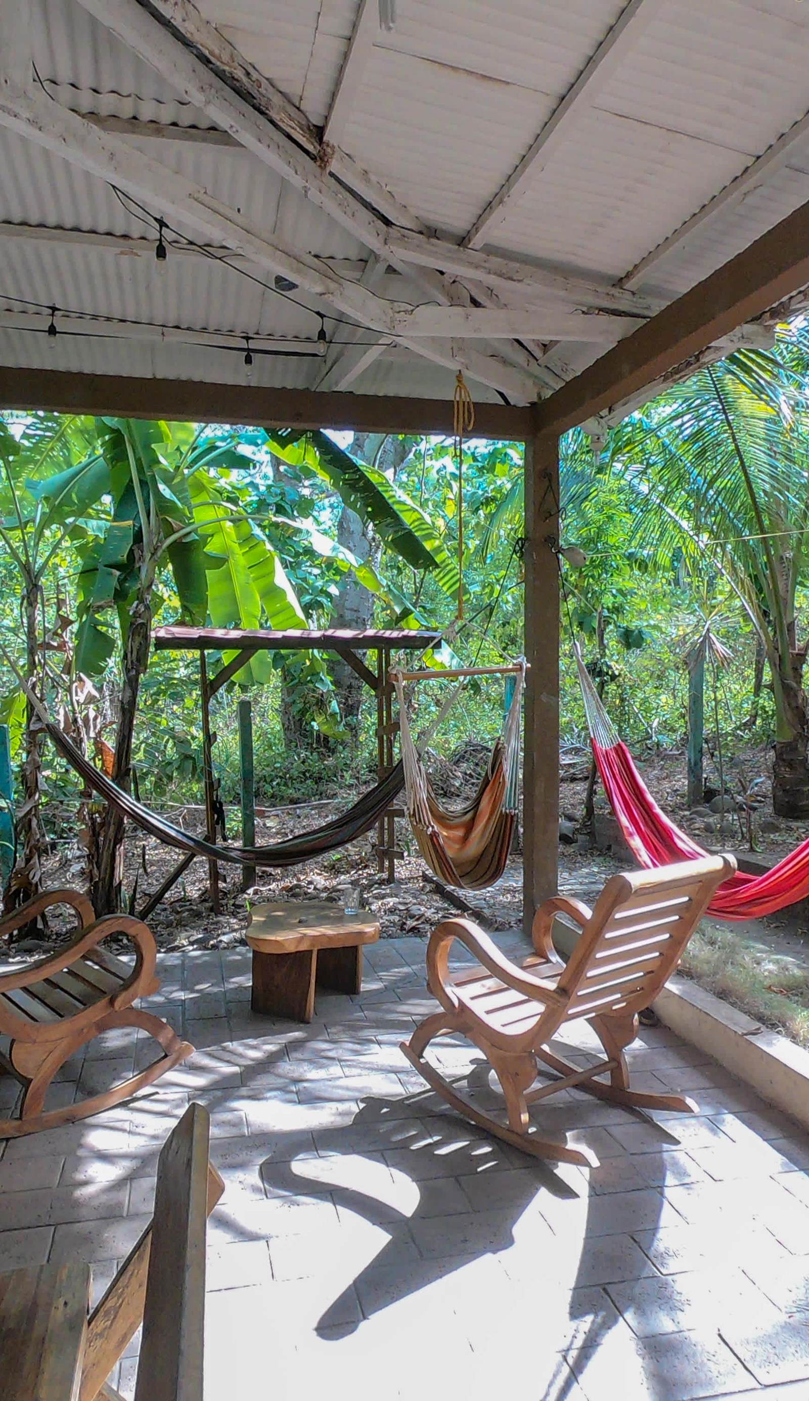 Hammock Plantation