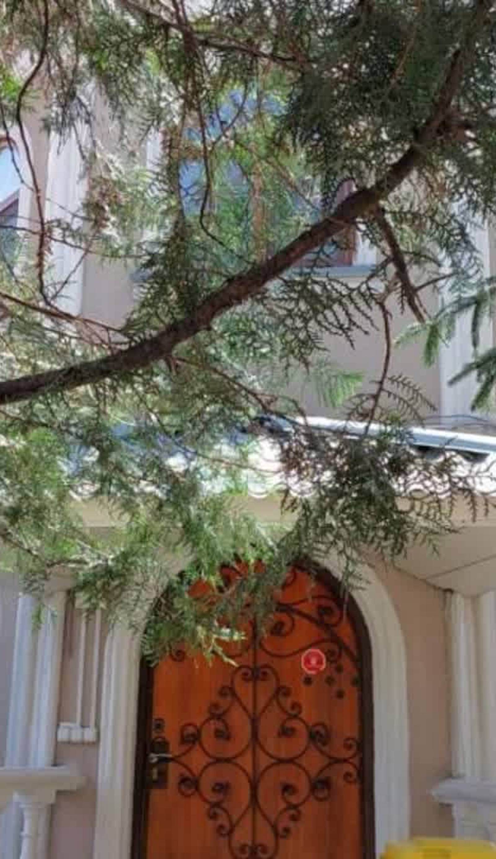 Rooms Dostyk