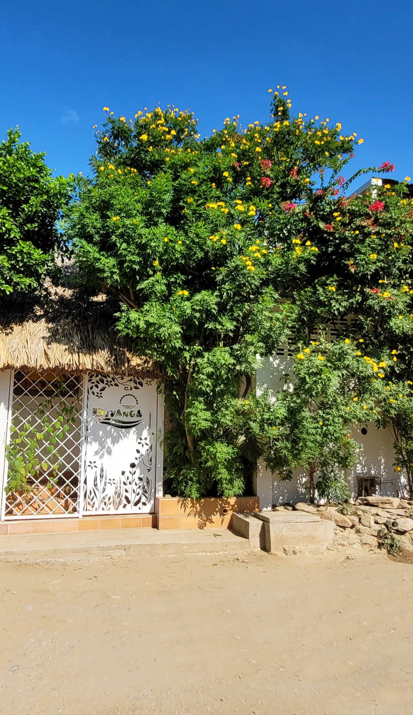 Divanga Hostel and Diving