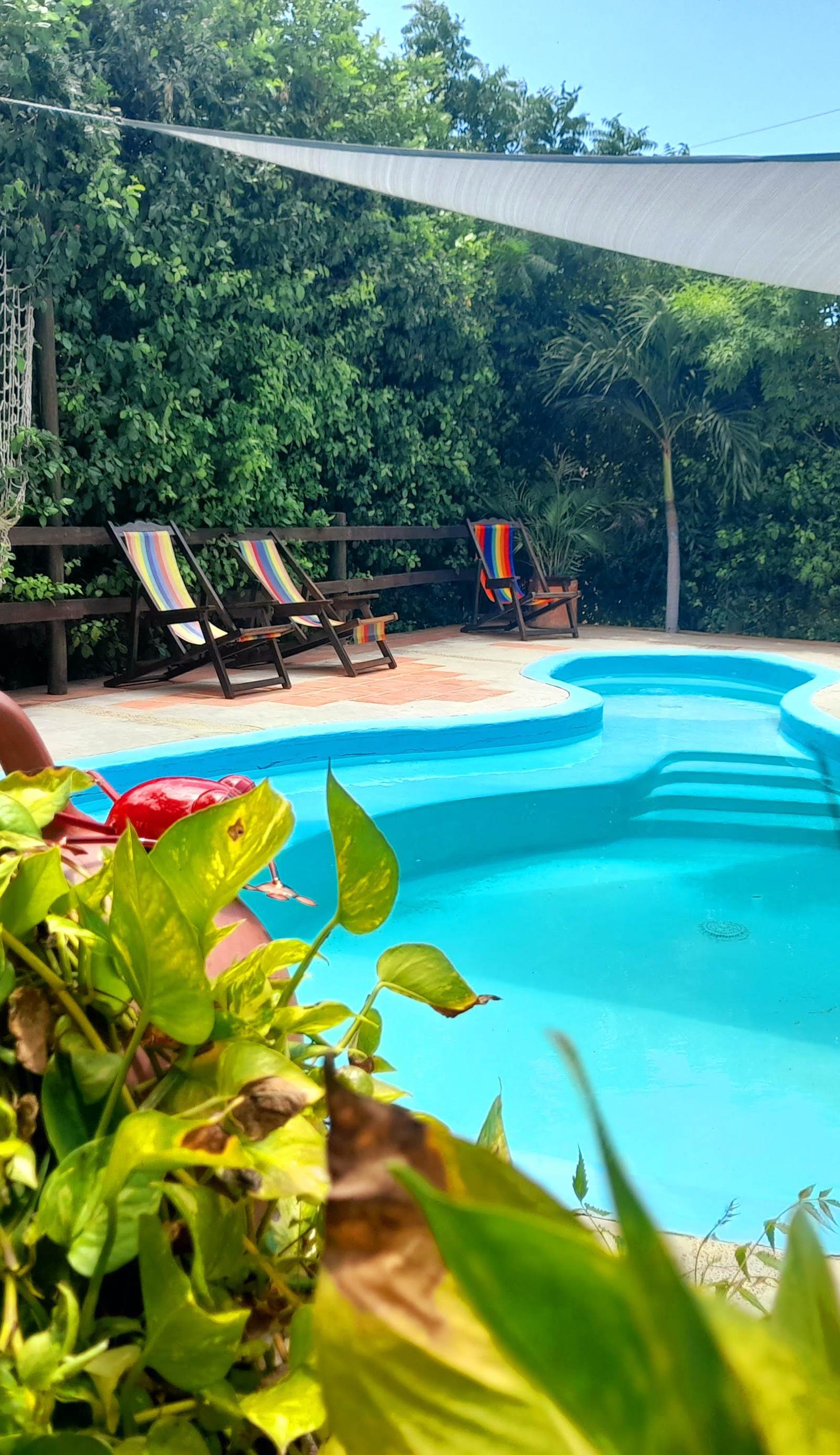Hostal La Casa de Felipe