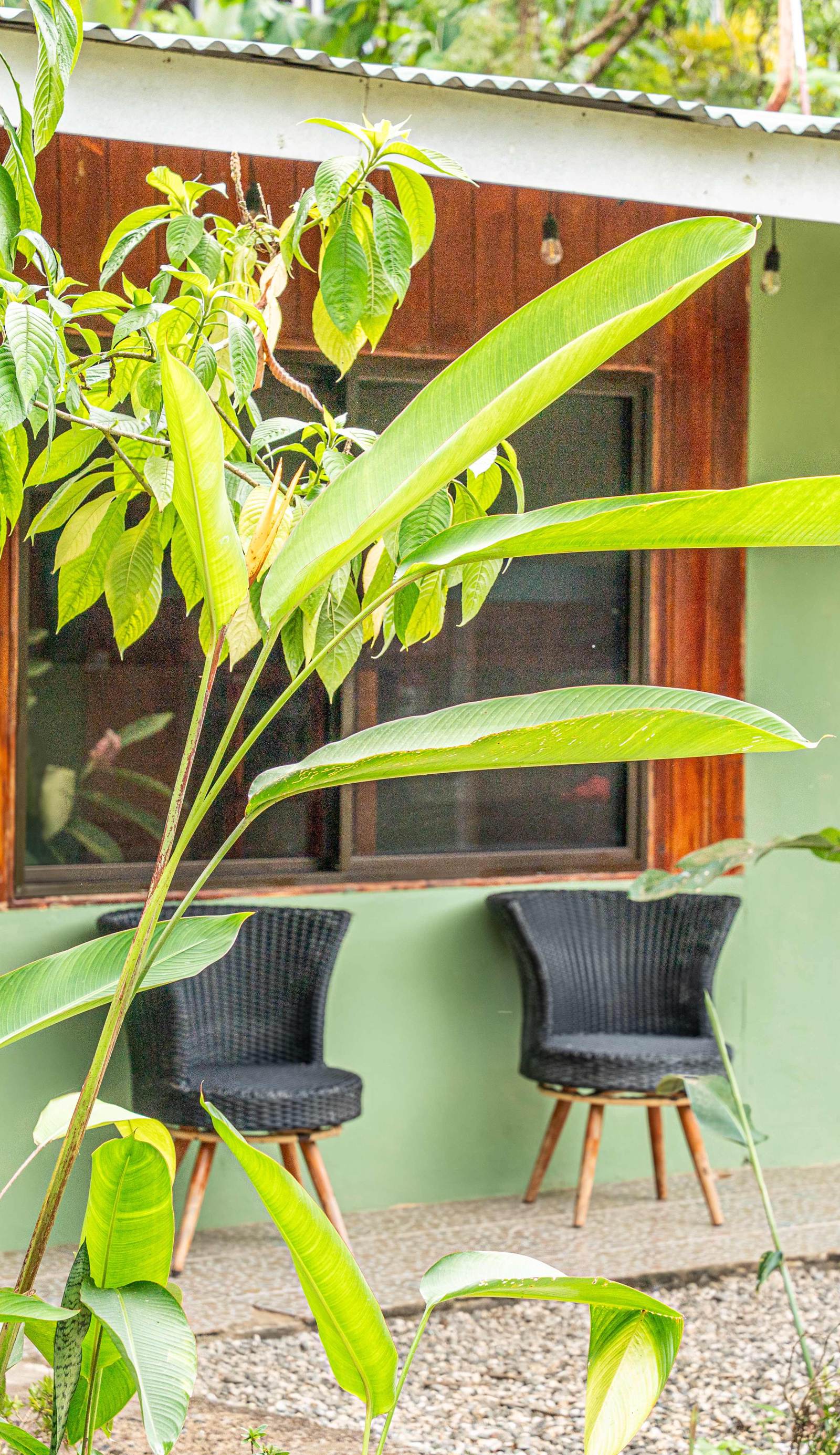 Jacobin Hostel & Cabins