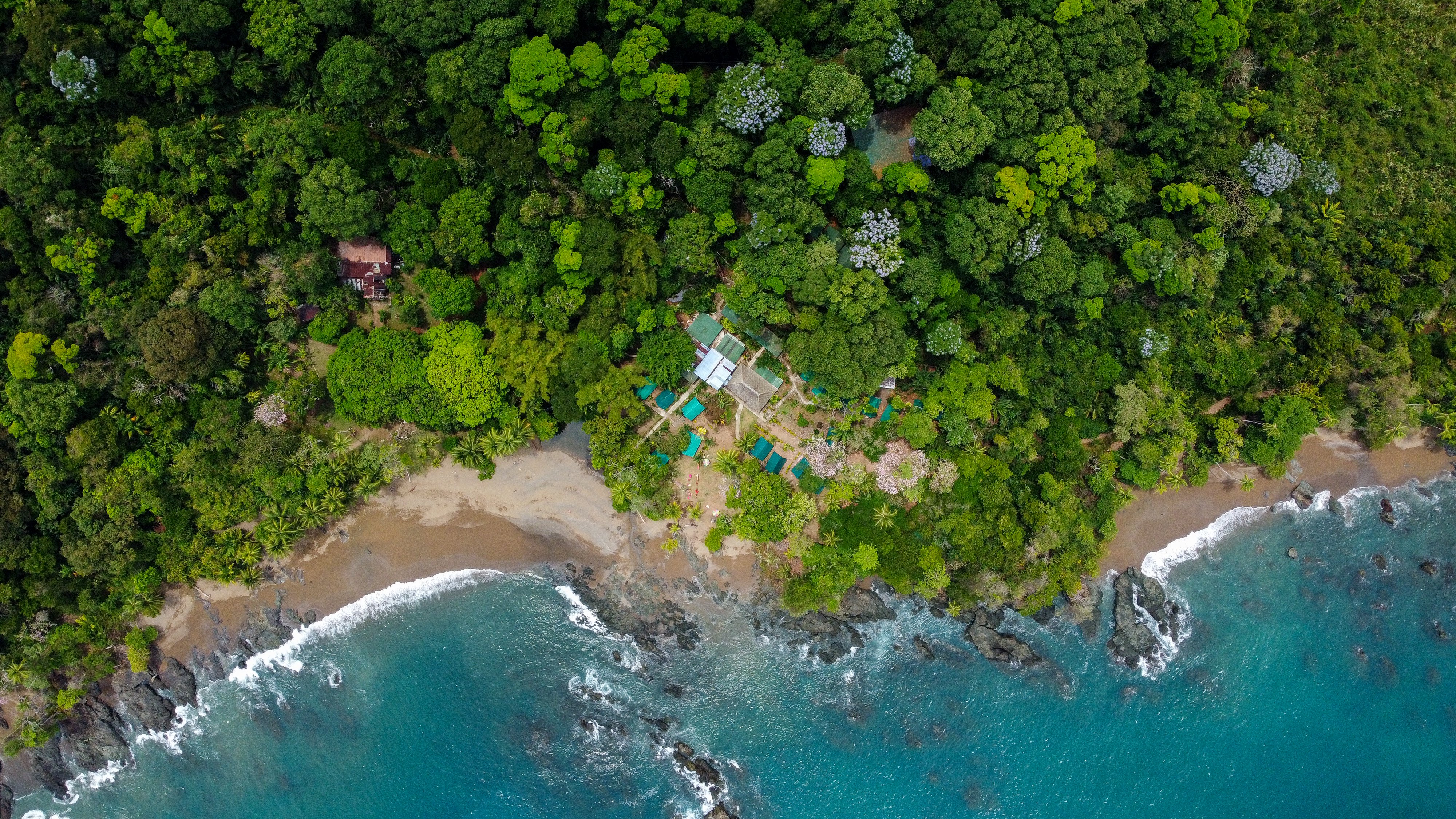 Corcovado Jungle Hostel