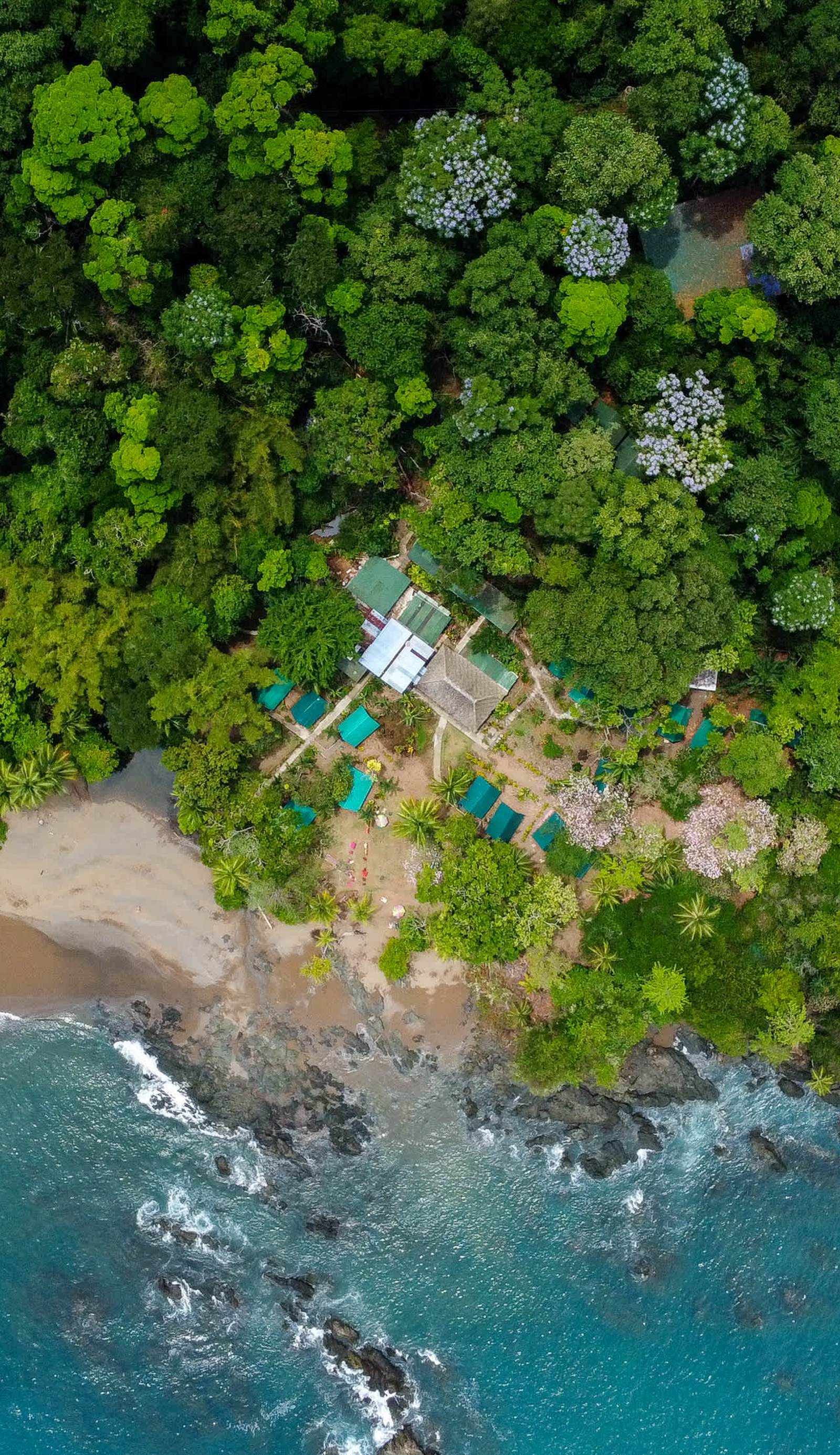 Corcovado Jungle Hostel