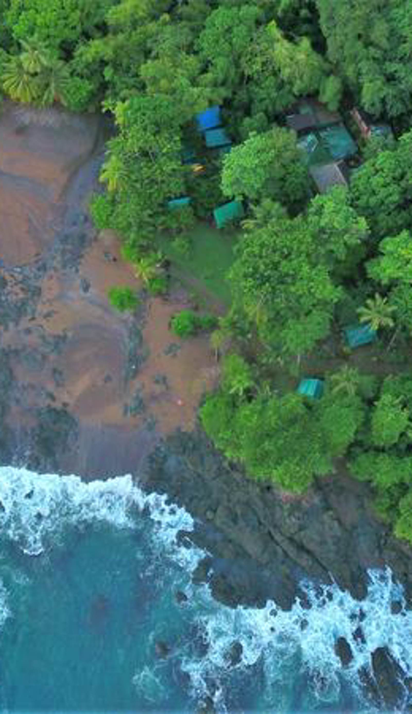 Corcovado Jungle Hostel