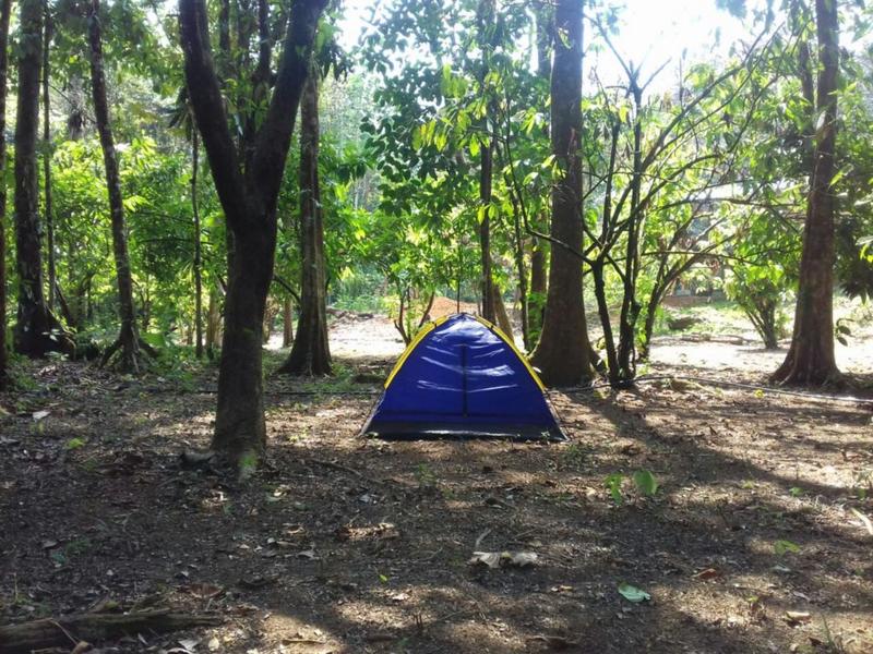 Rio Agujitas Eco Jungle Hostel, Camping and Tours