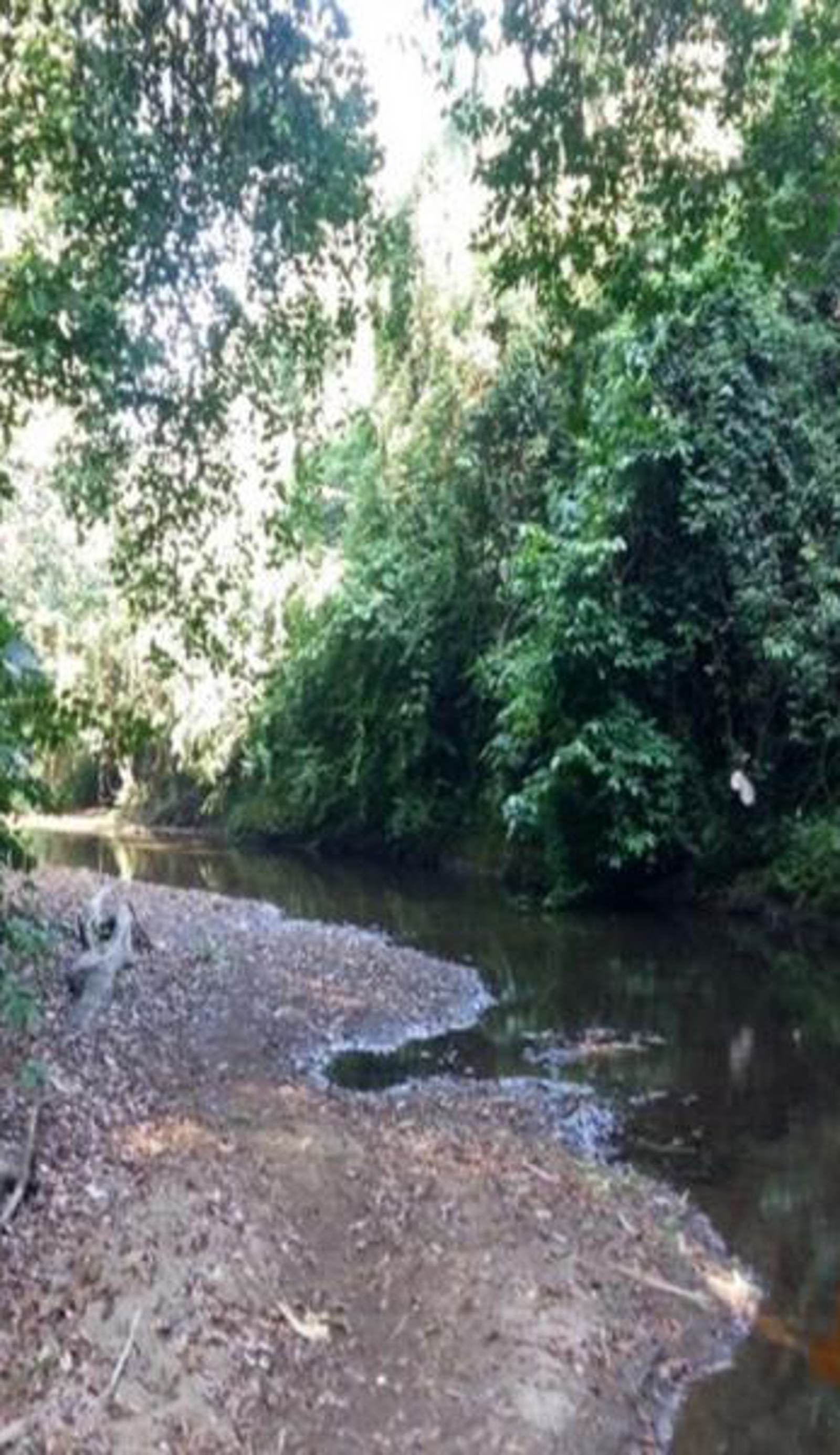 Rio Agujitas Eco Jungle Hostel, Camping and Tours