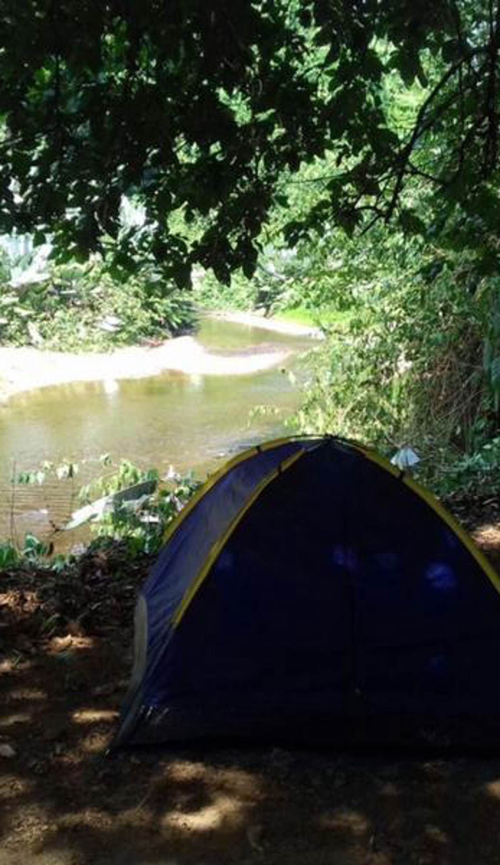 Rio Agujitas Eco Jungle Hostel, Camping and Tours