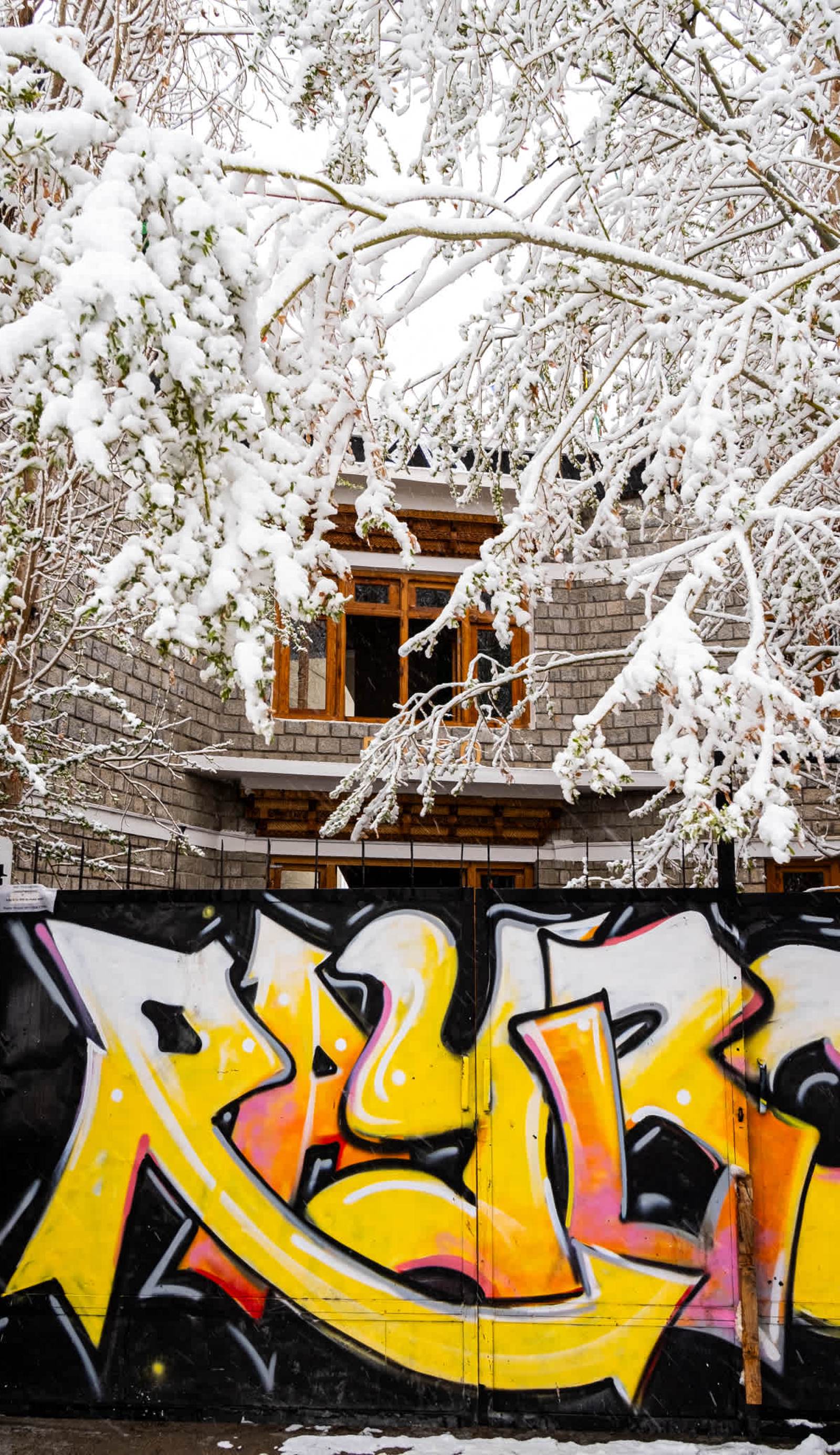 Raybo Hostel
