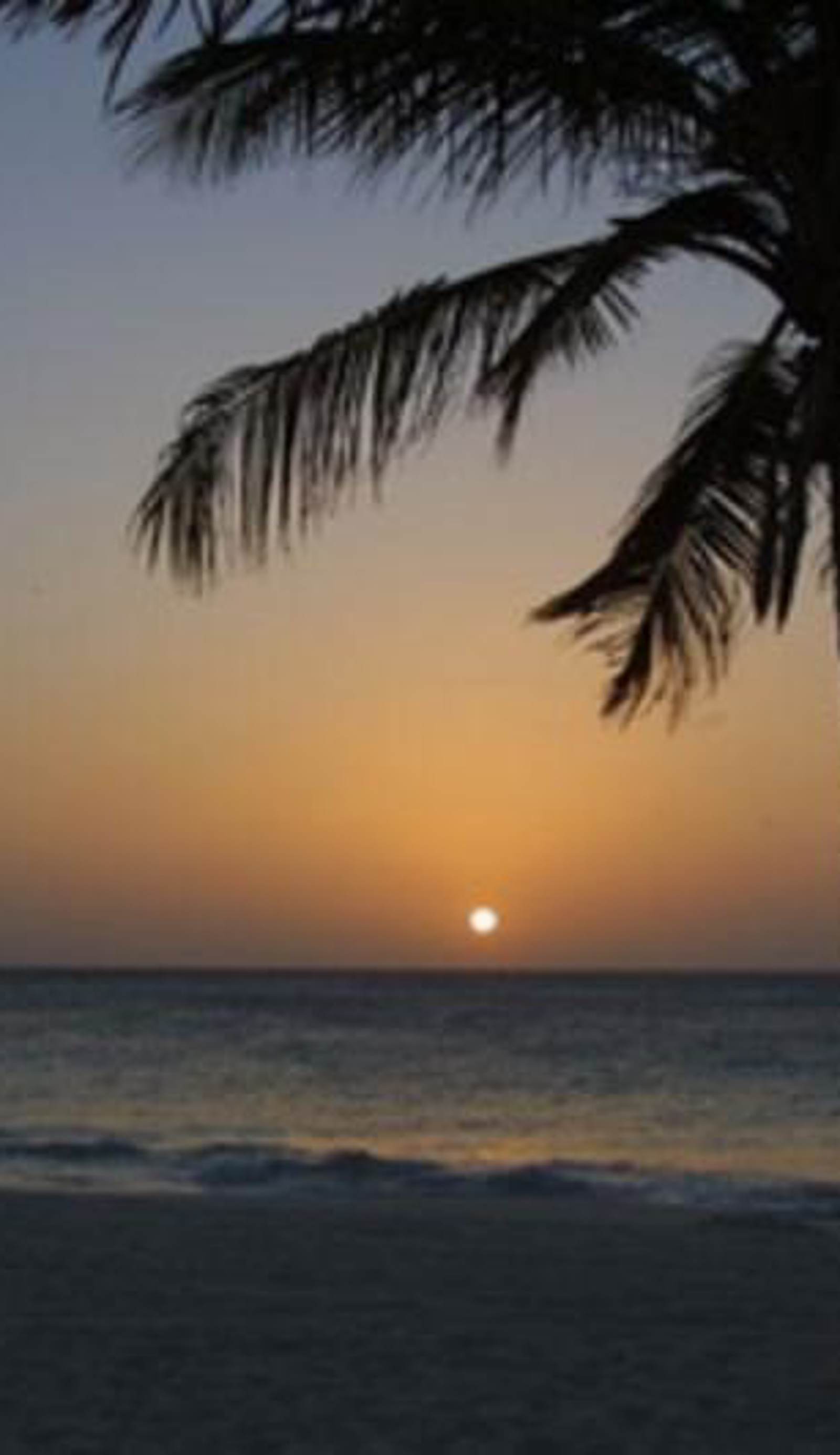 Aruba Harmony