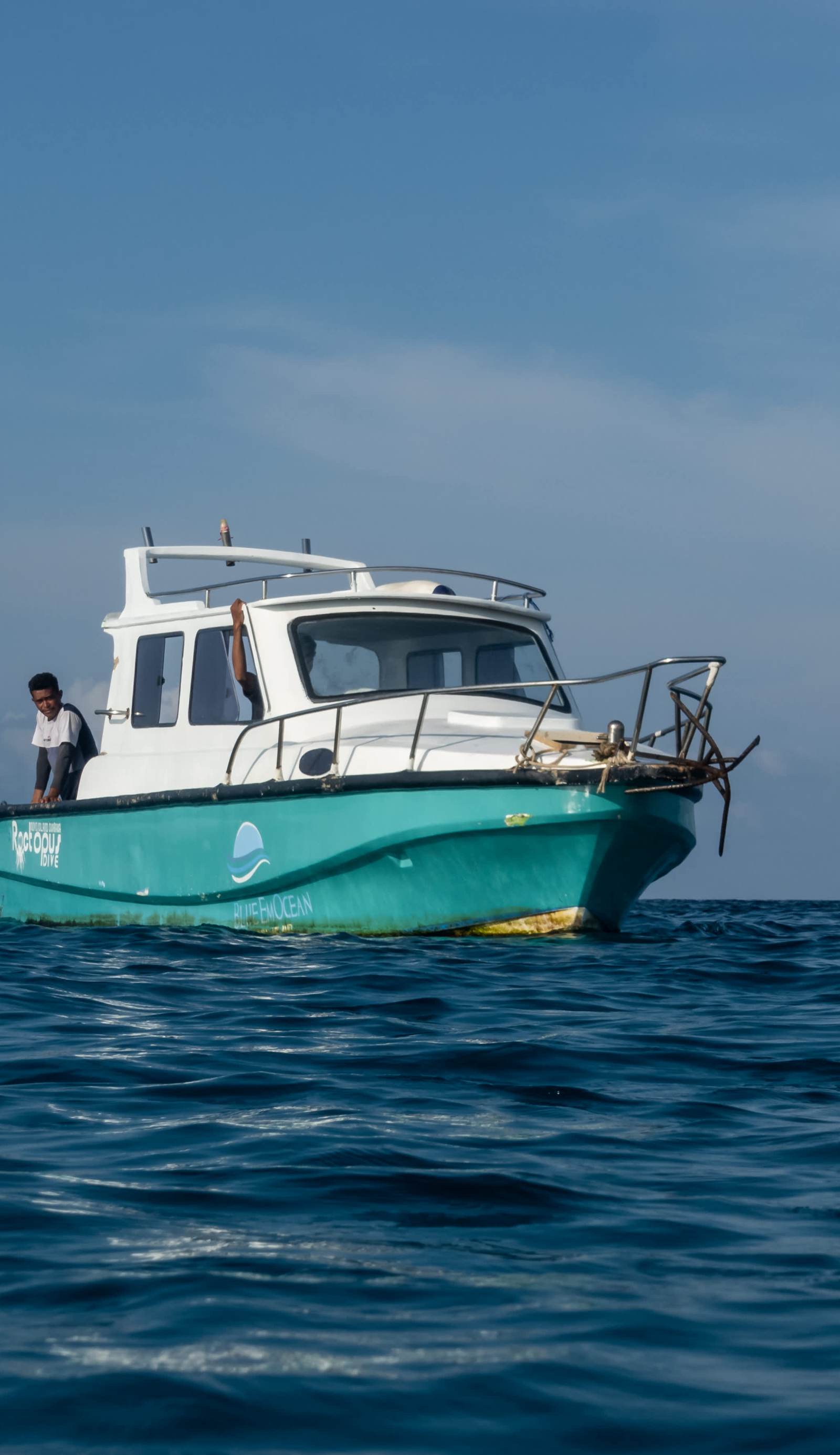 Blue Emocean Resort & Rocotpus Hostel