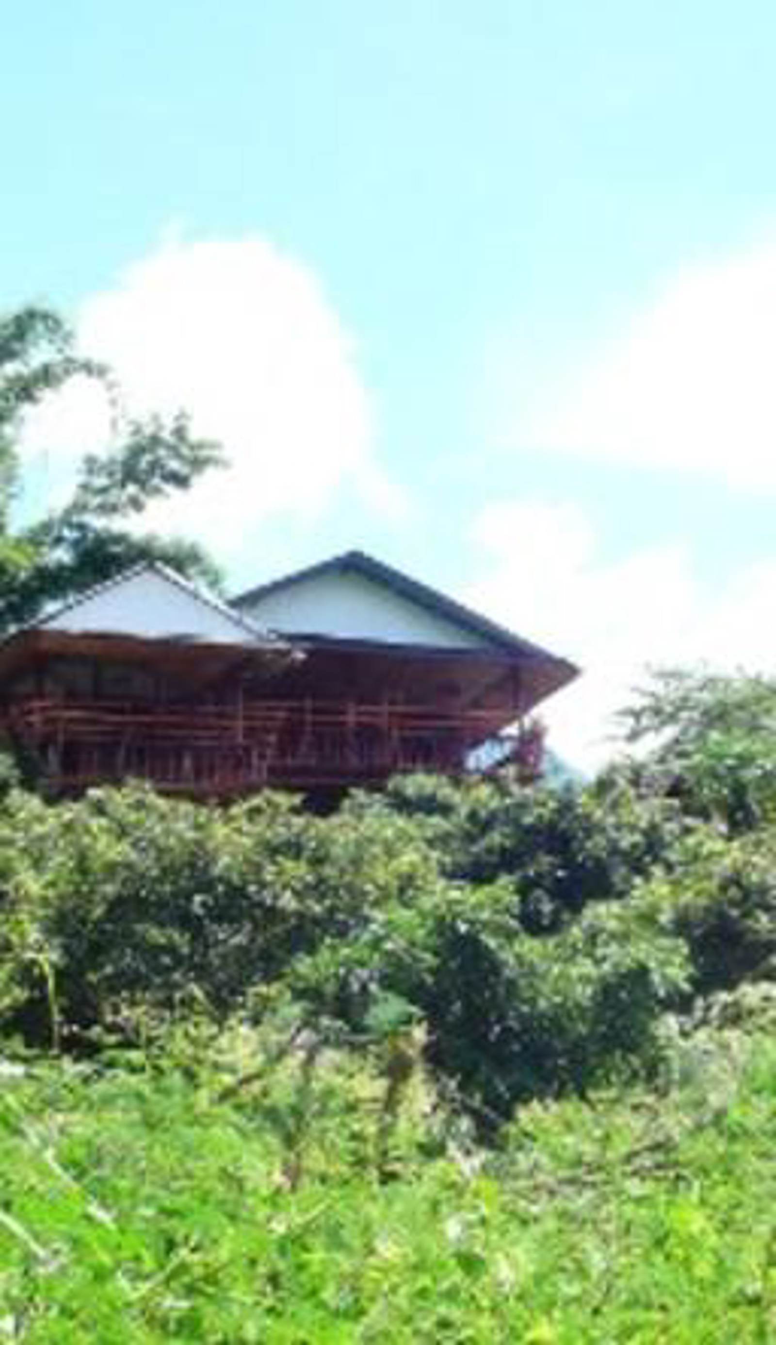 Darling View Point Bungalows