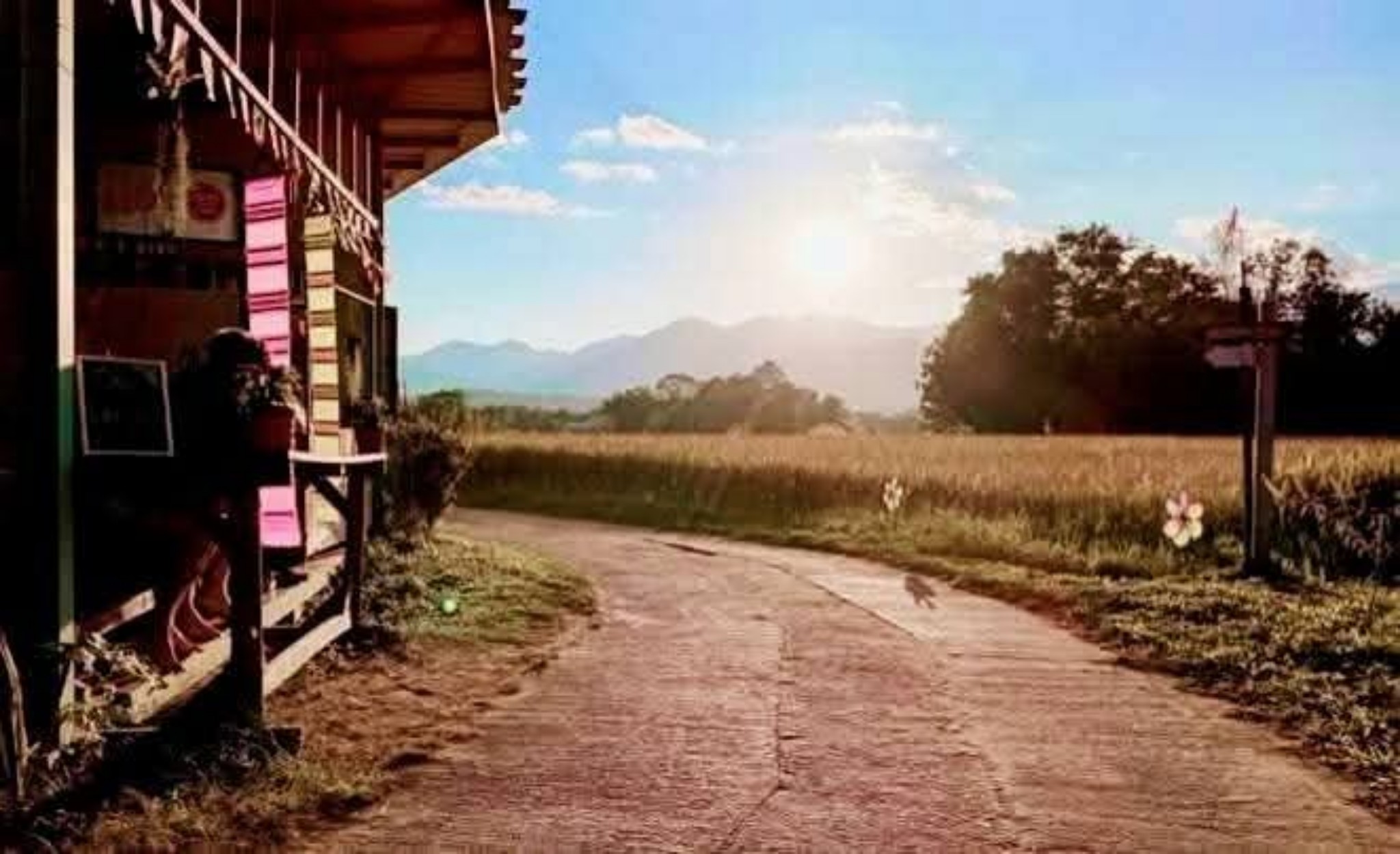 Chill In Pai