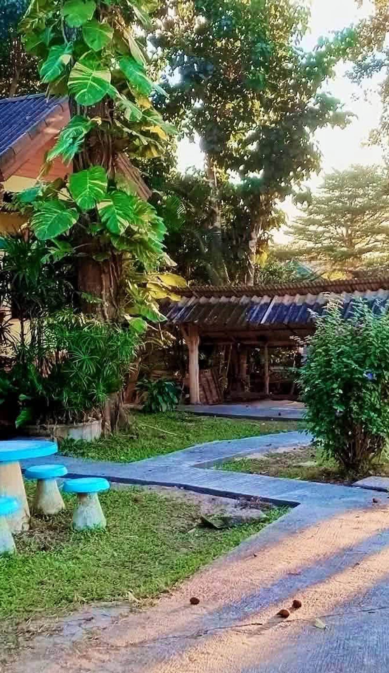 Chill In Pai
