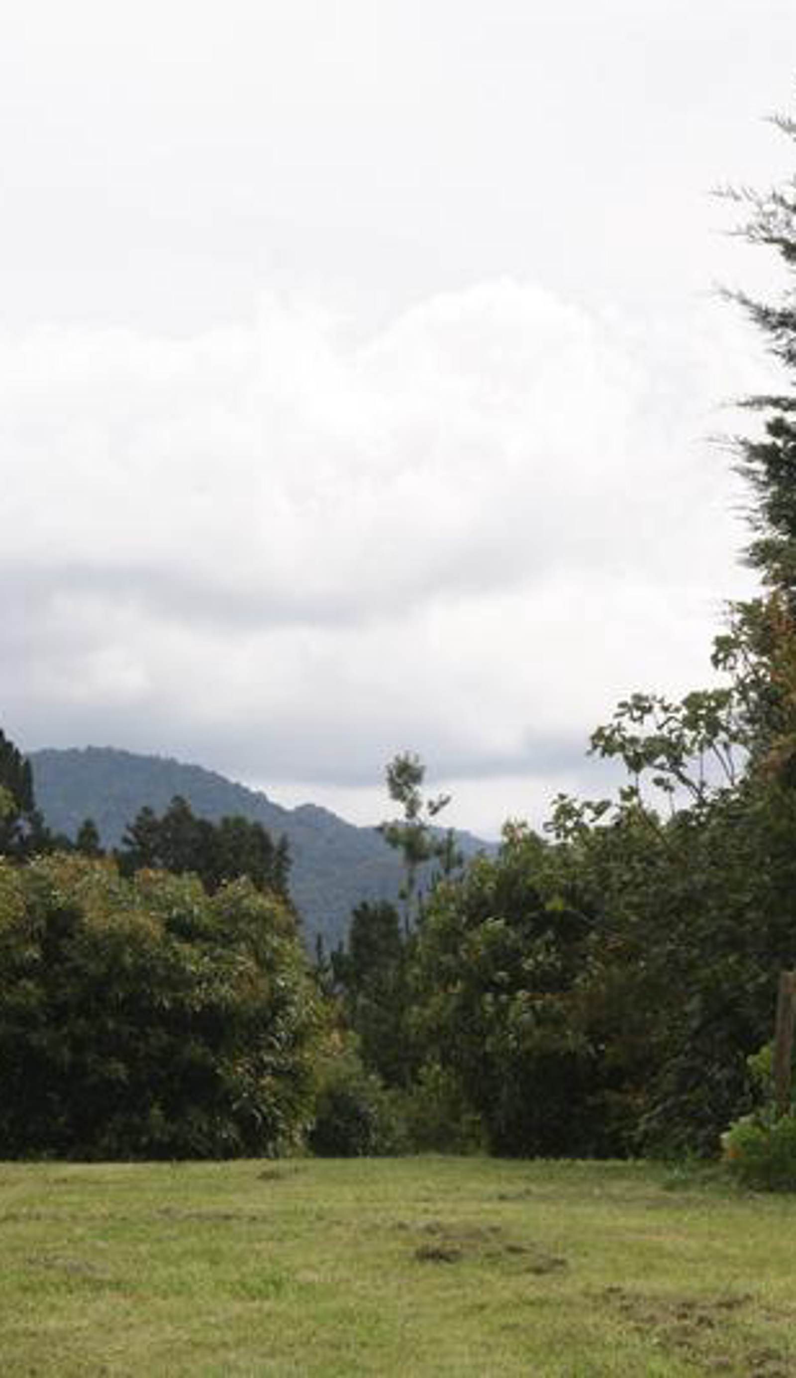 Purple Hen Country Lodge