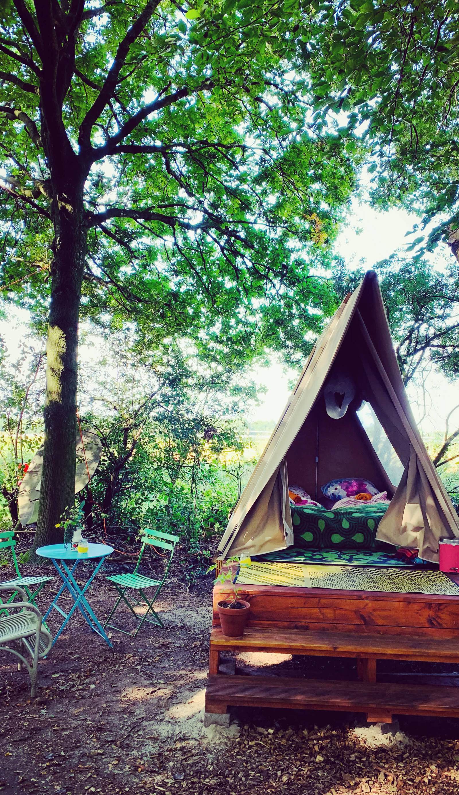 Camping De Helleborus