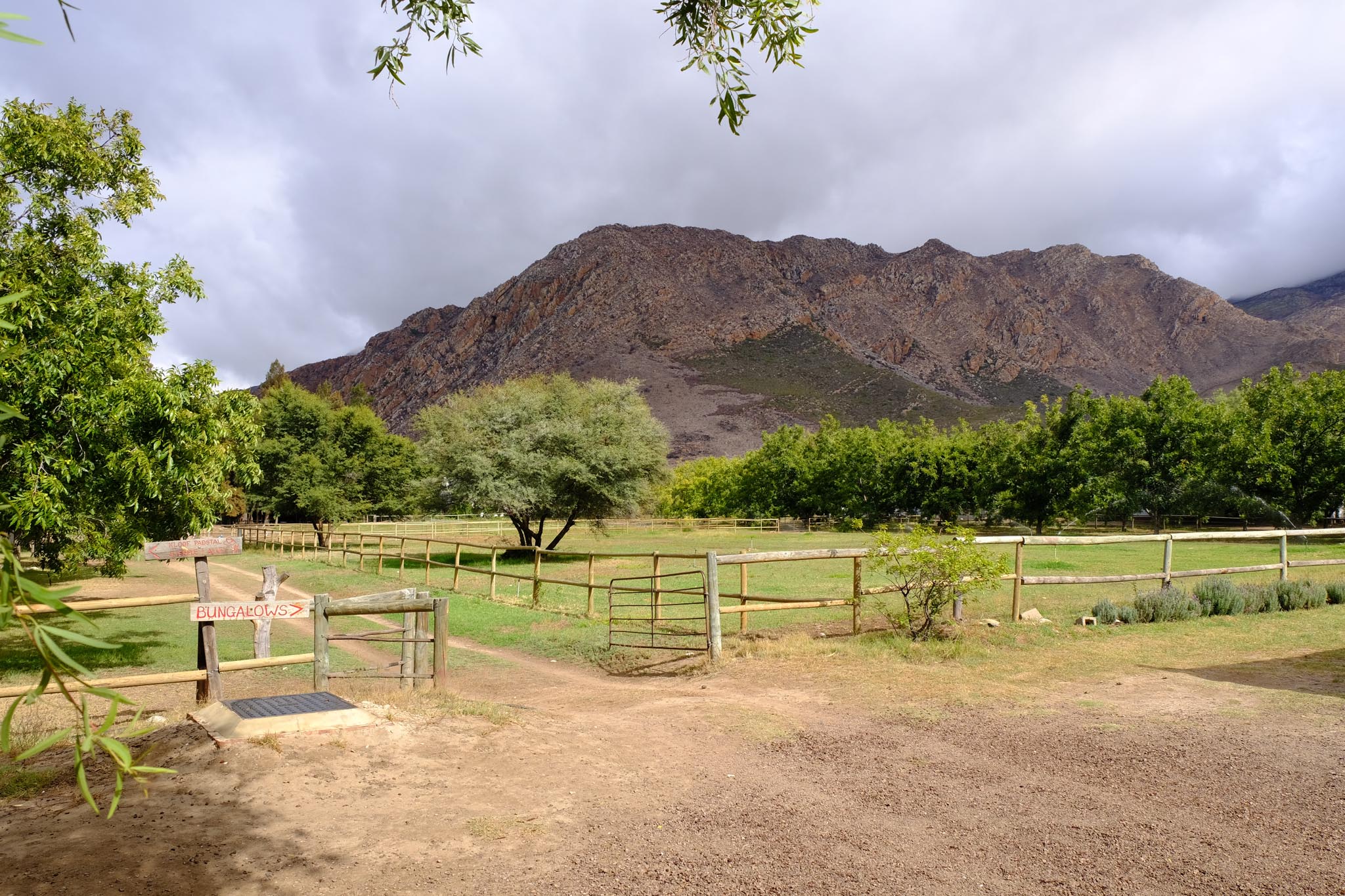 De Bos Backpackers & Camping