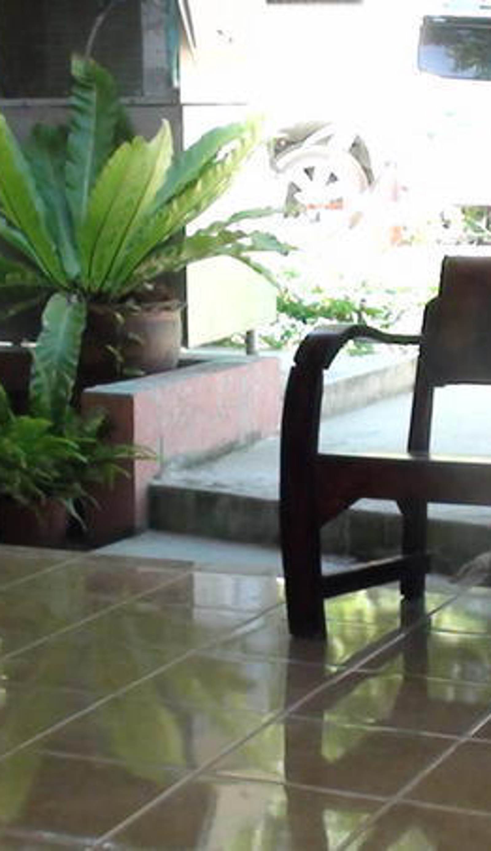 Palio (Haad Rin) Hostel