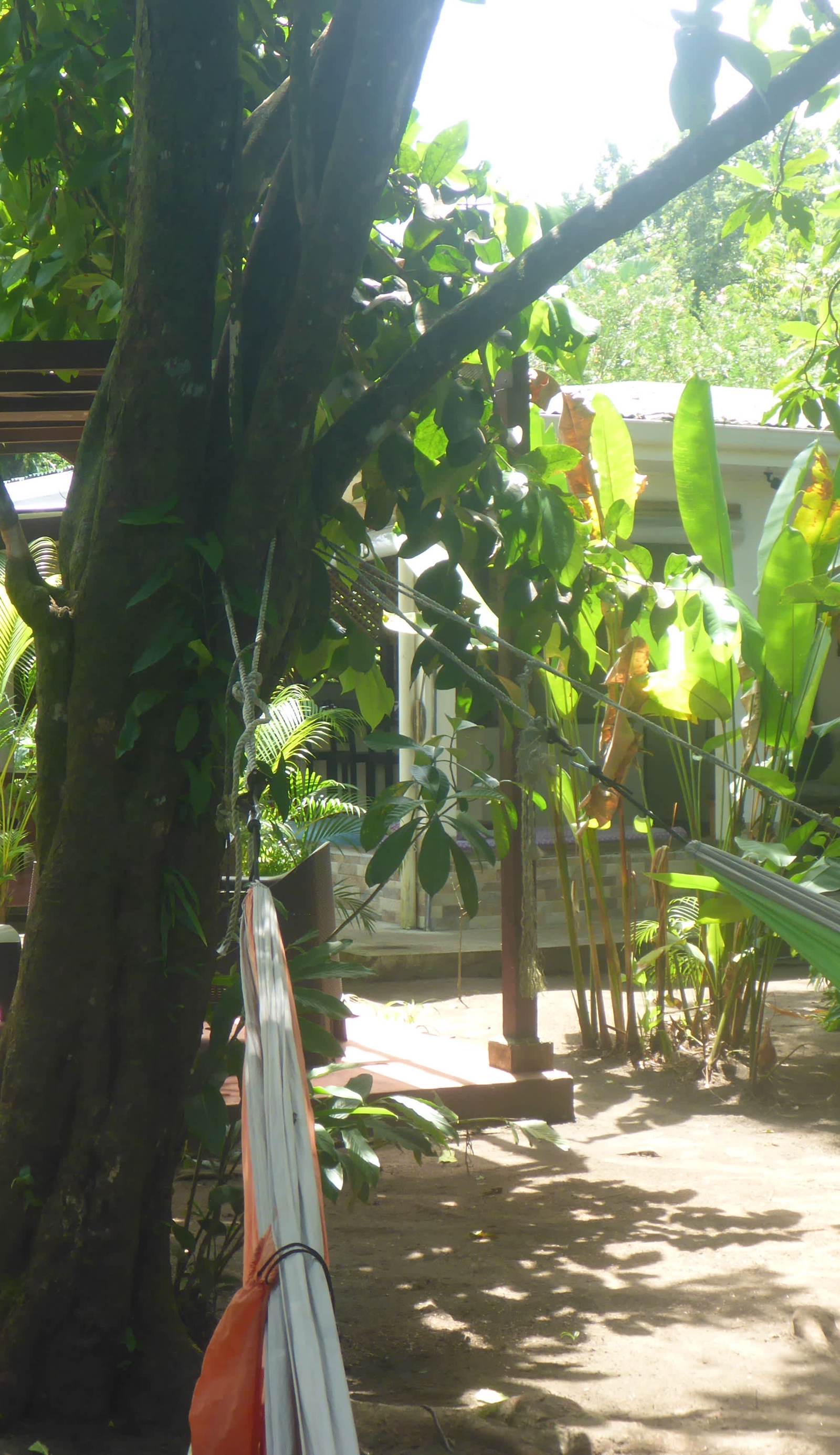 Aracari Garden Hostel