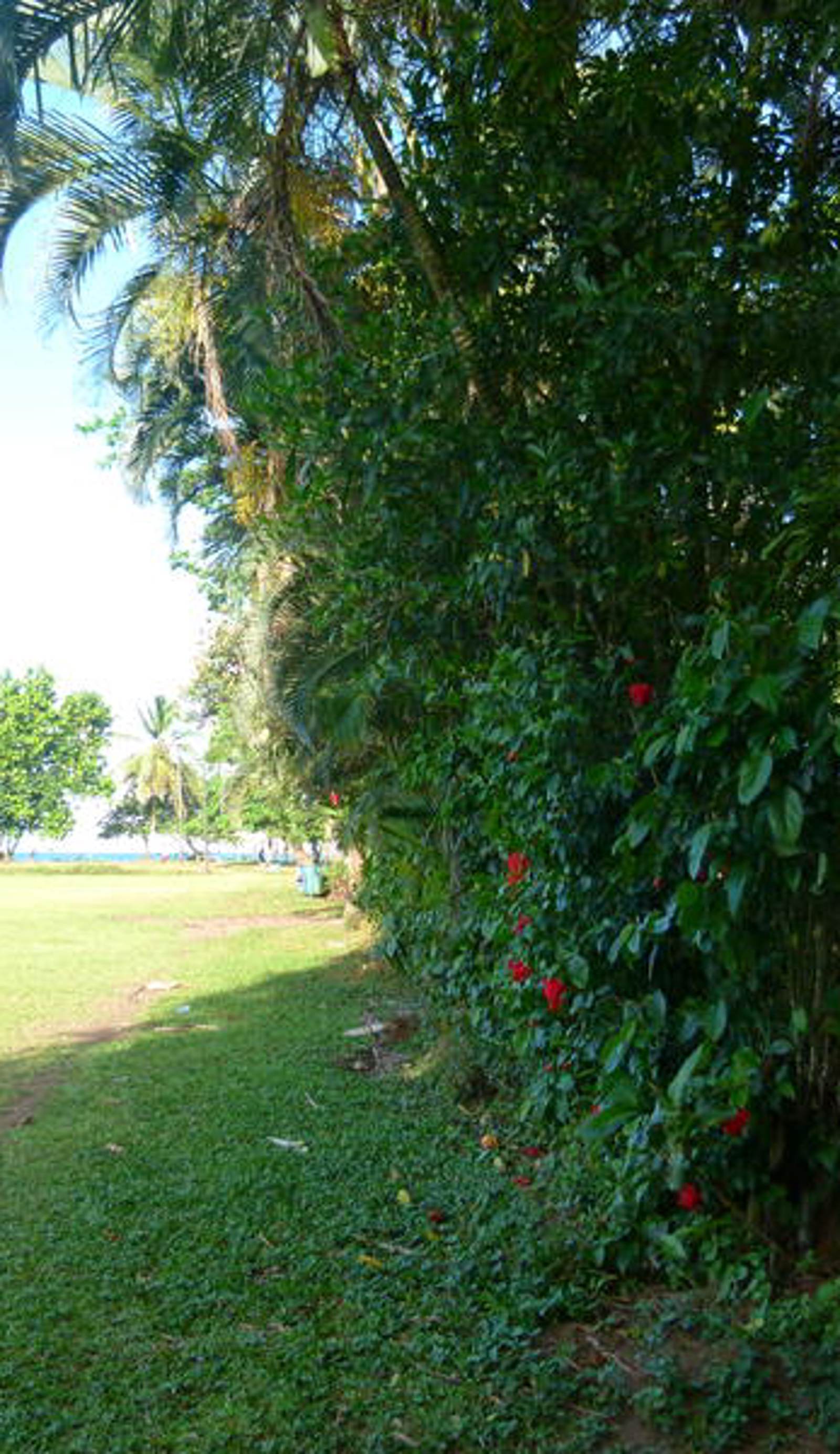 Aracari Garden Hostel