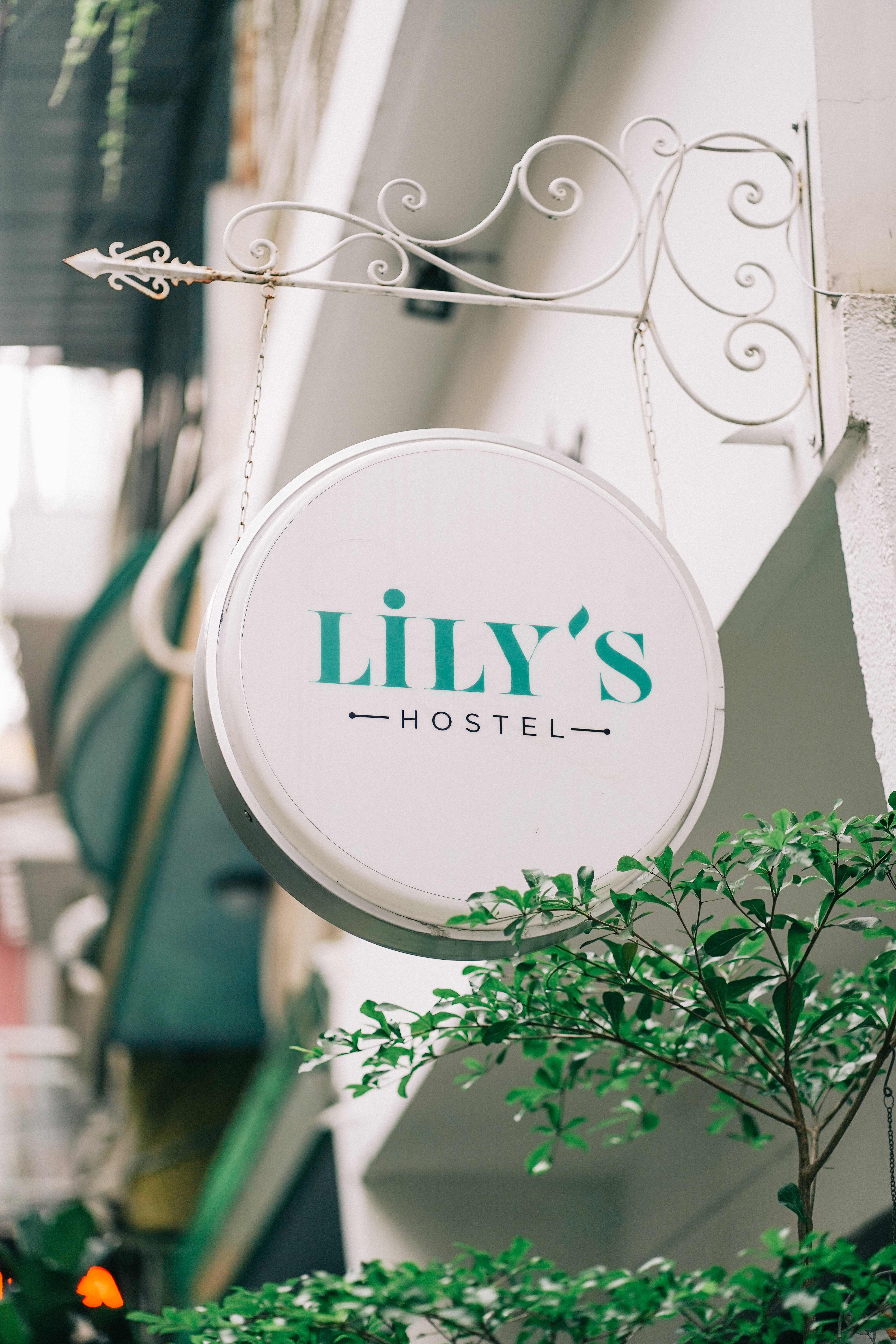 Lily's Hostel