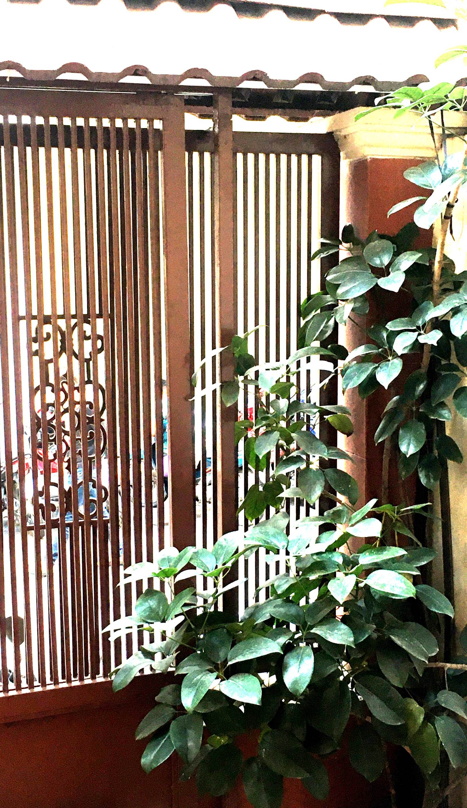 Saigon Cozy House