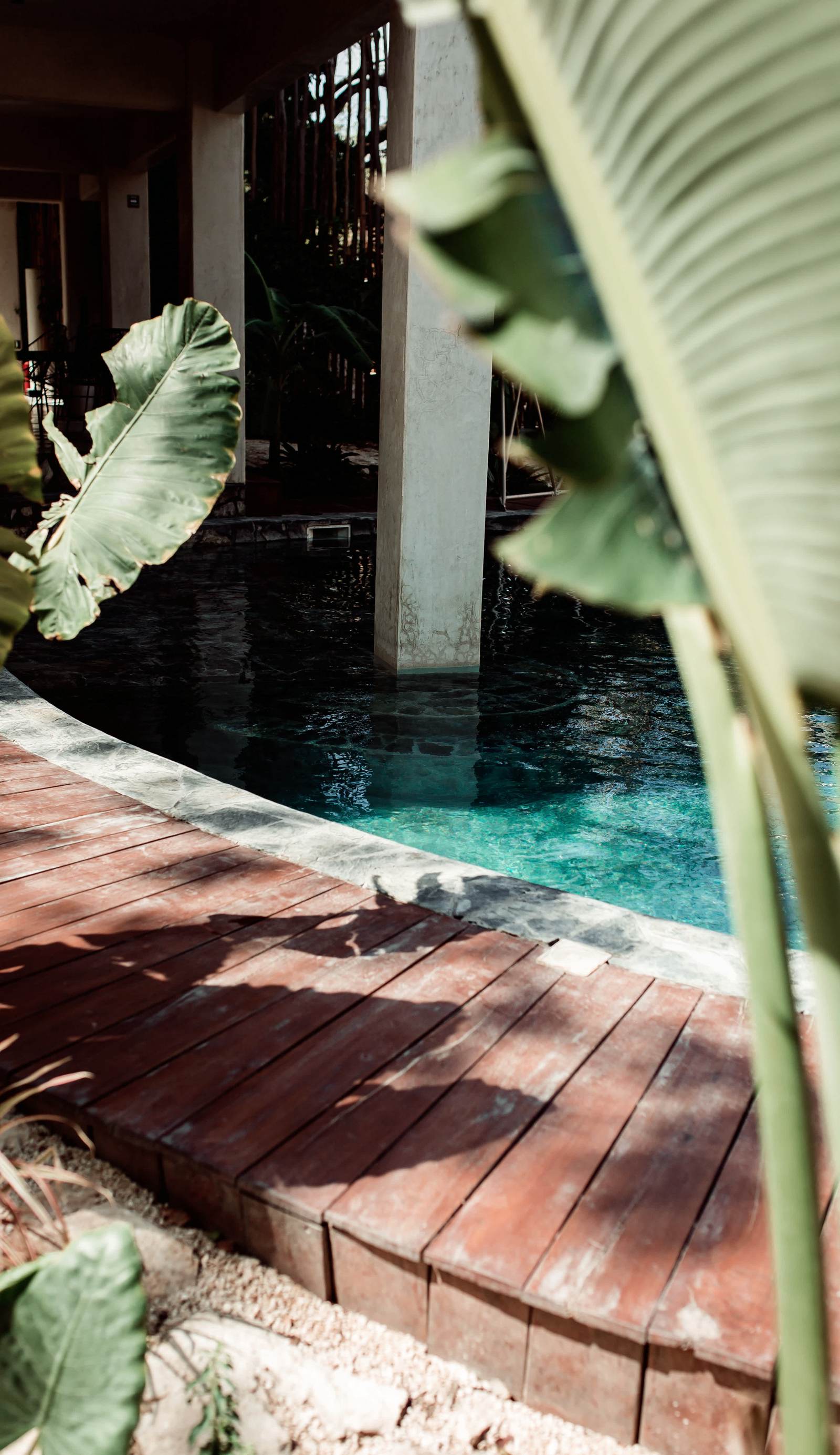 Botanica Tulum