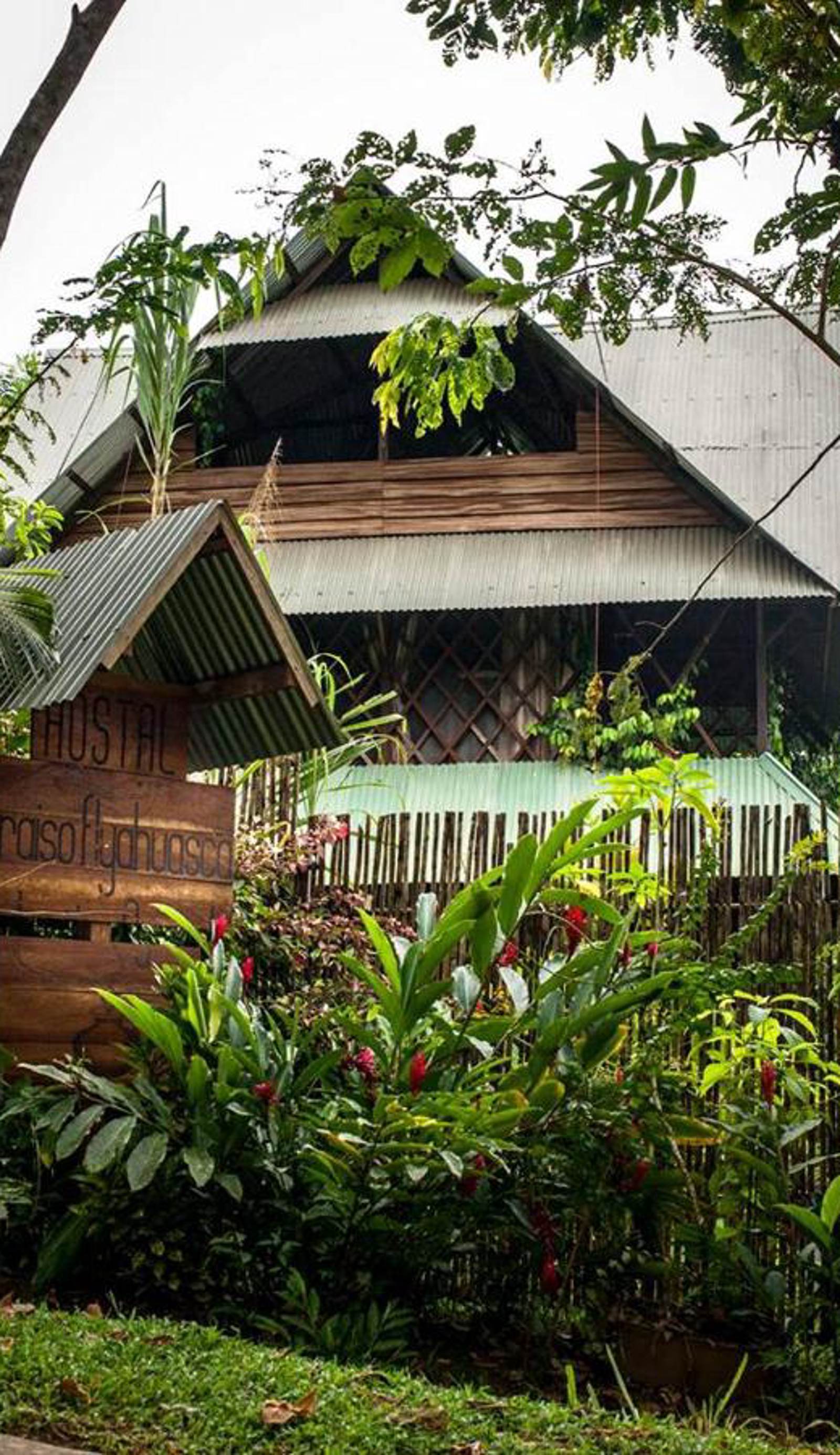 Paraiso Ayahuasca