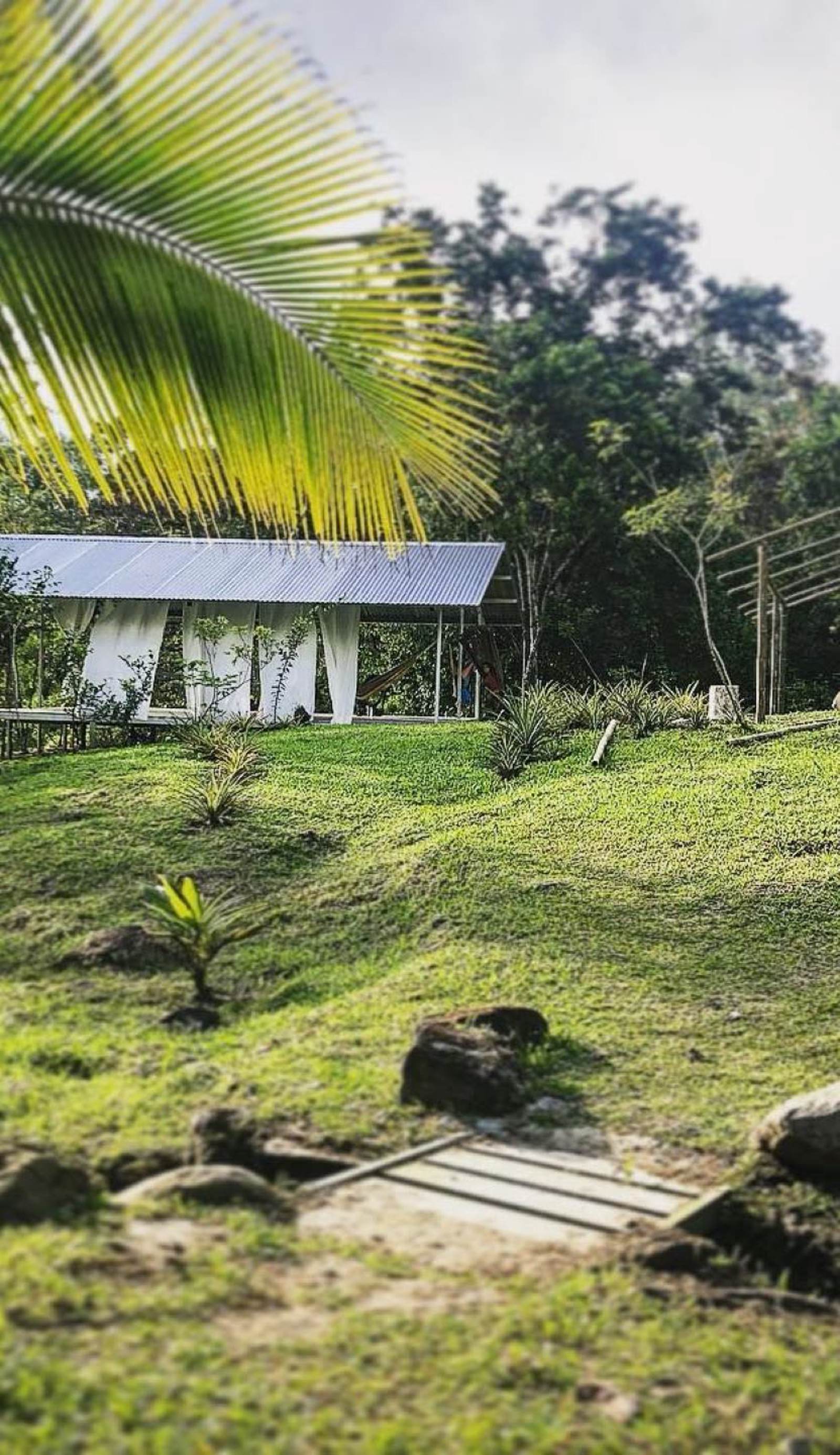 Soursop Hostel