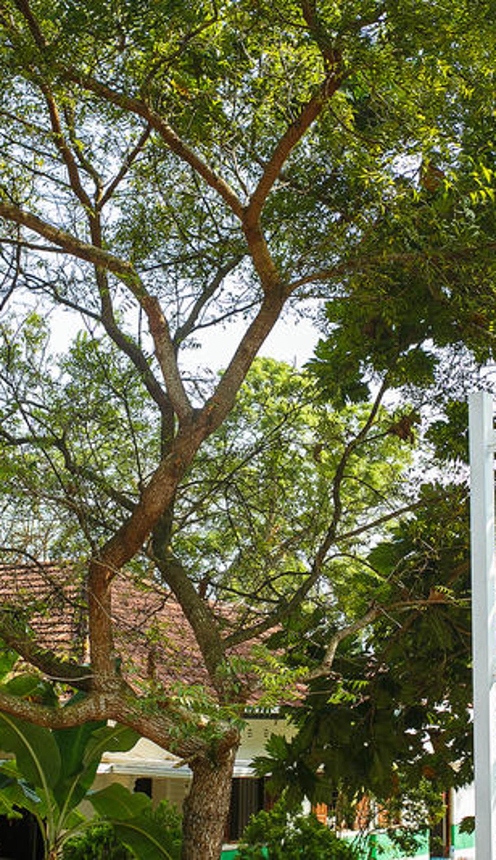 Hostel First Mirissa