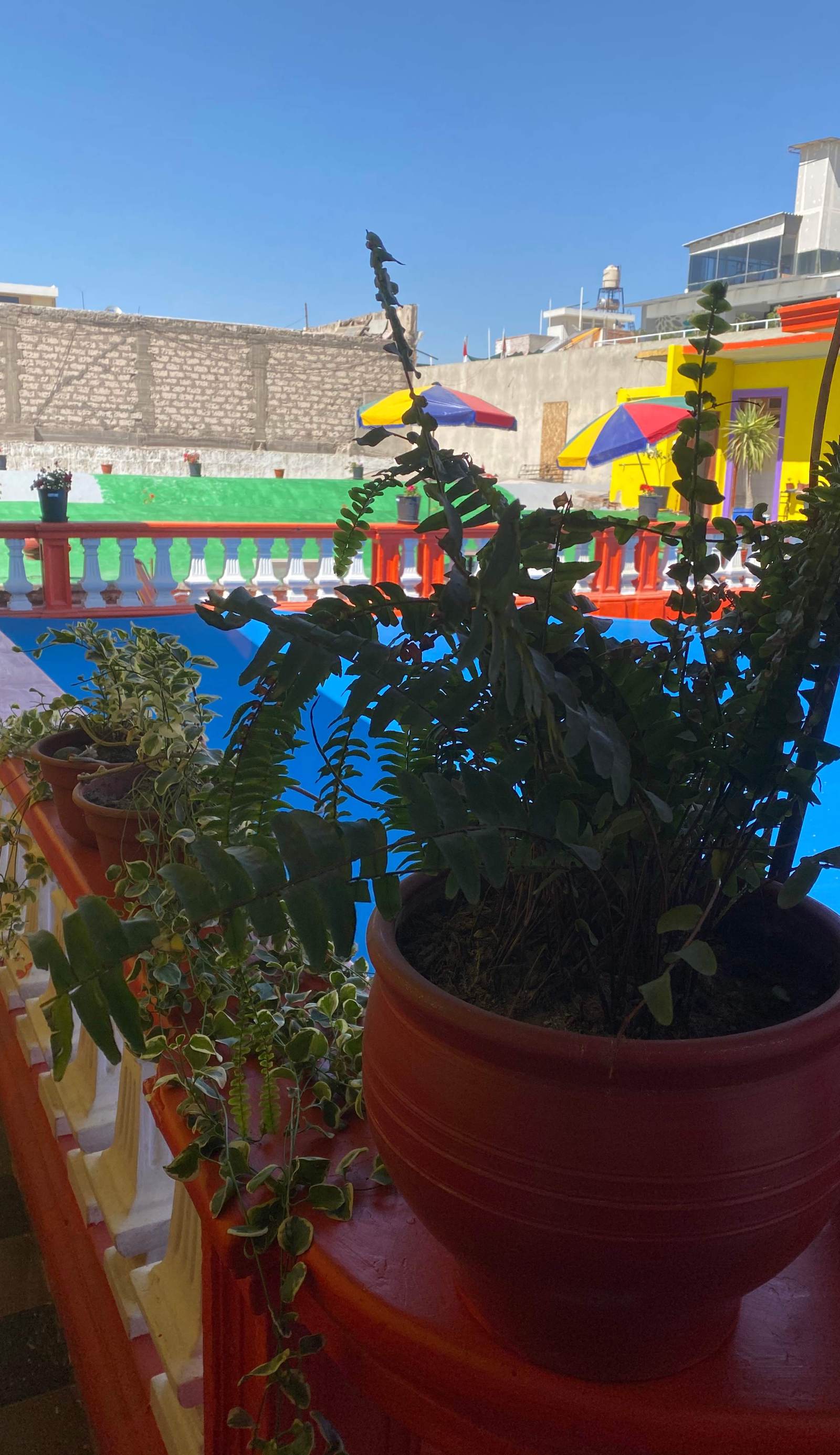 Pusary Hostel
