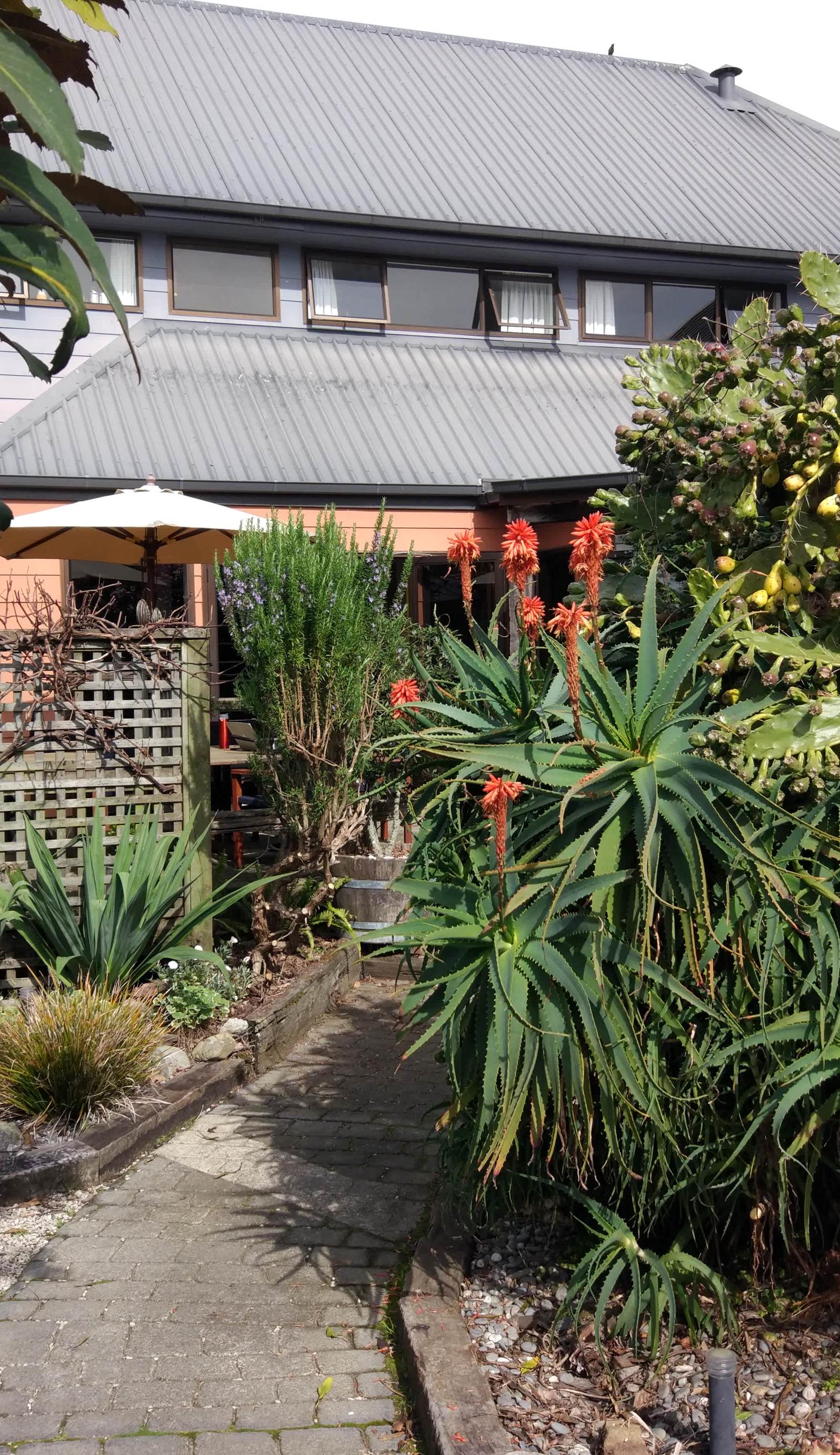 Tasman Bay Backpackers