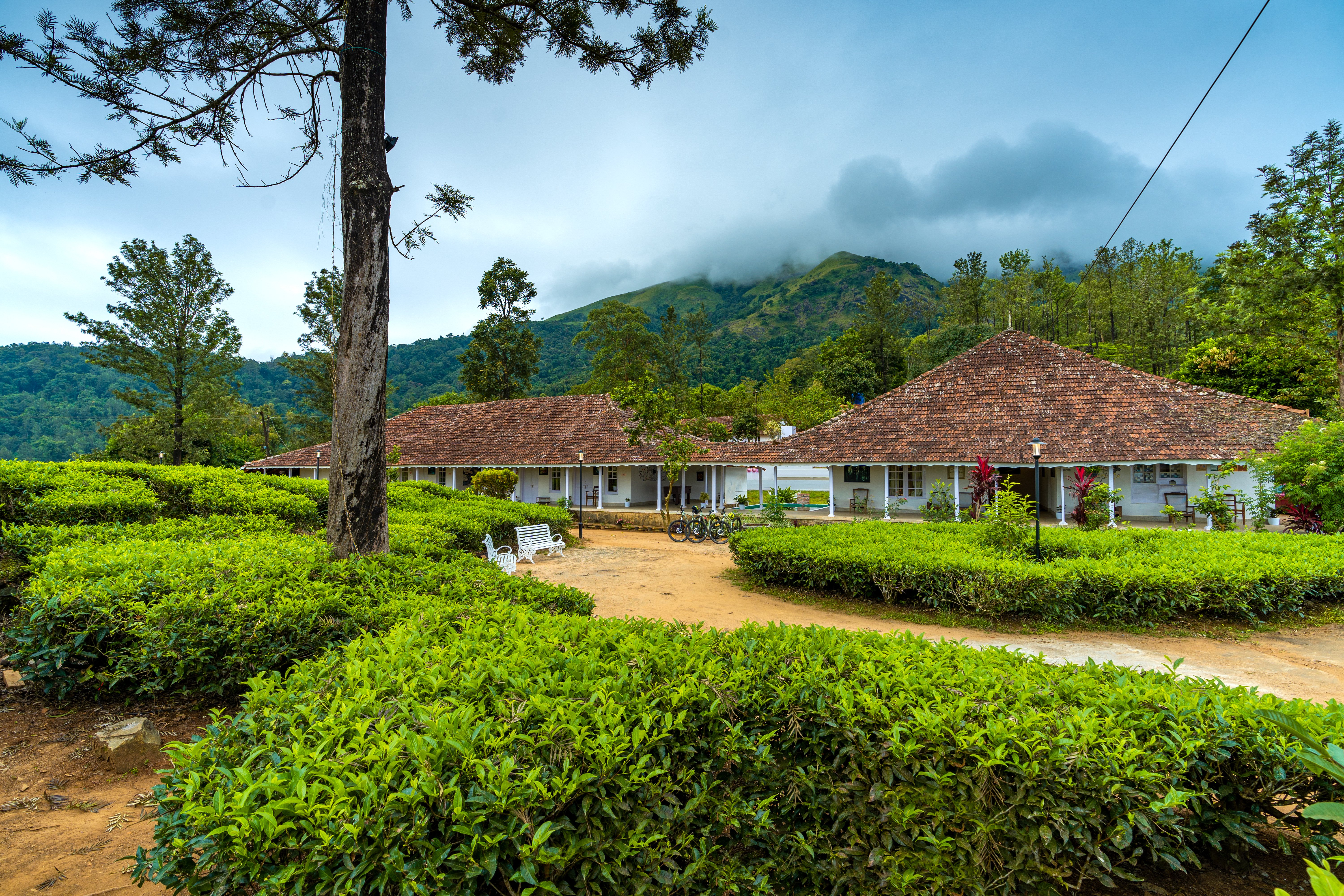 Zostel Plus Wayanad