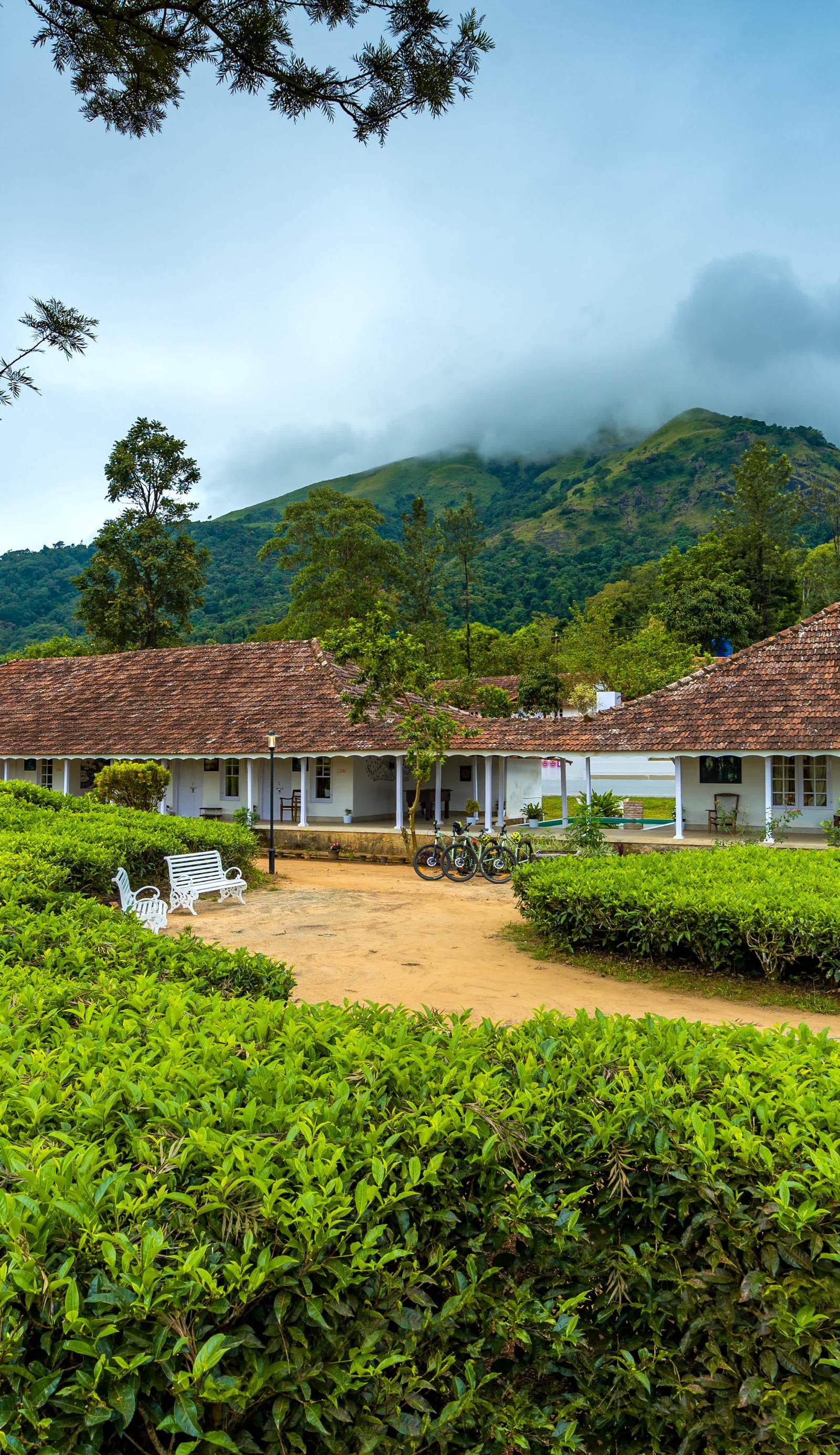 Zostel Plus Wayanad
