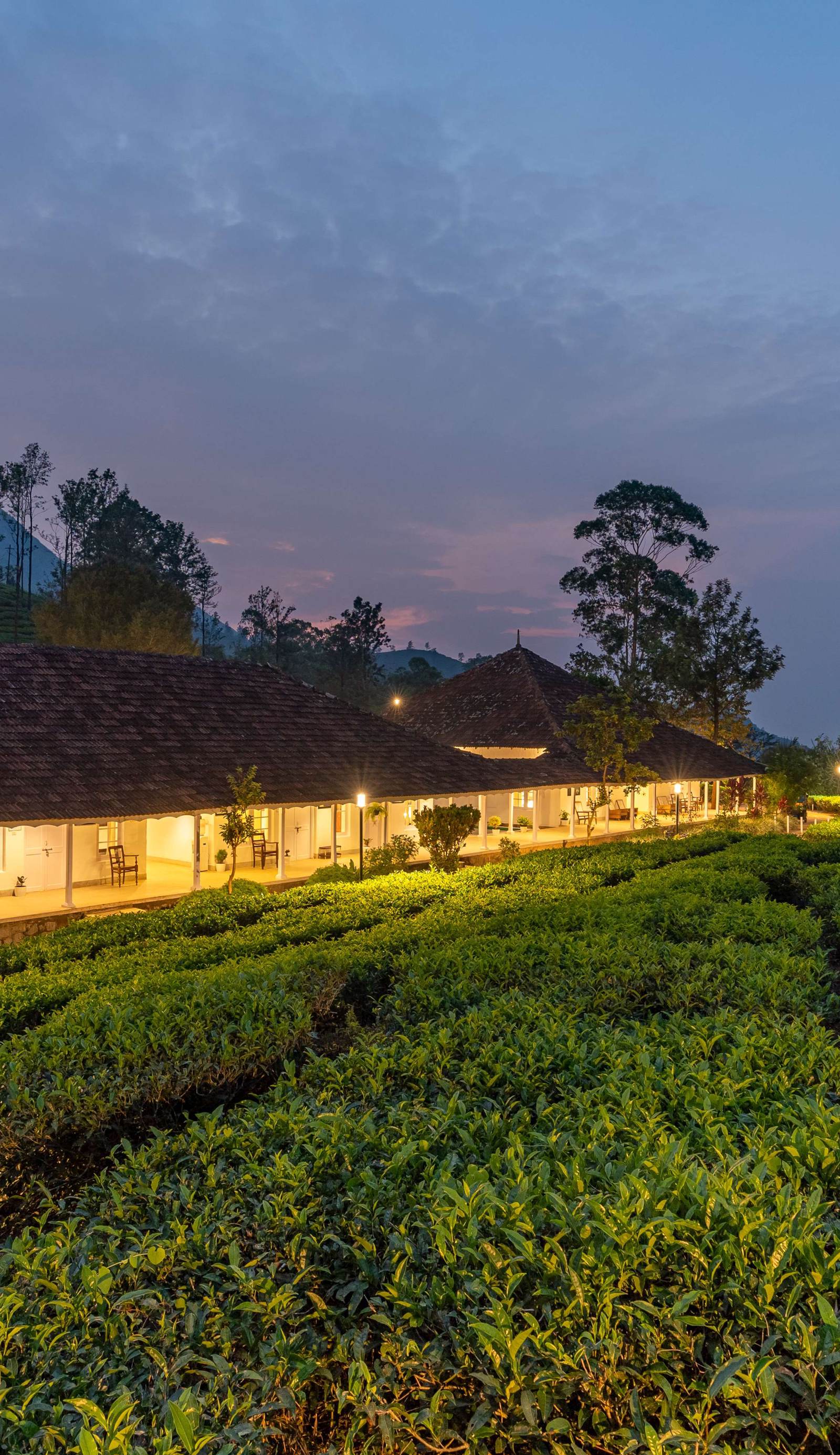 Zostel Plus Wayanad