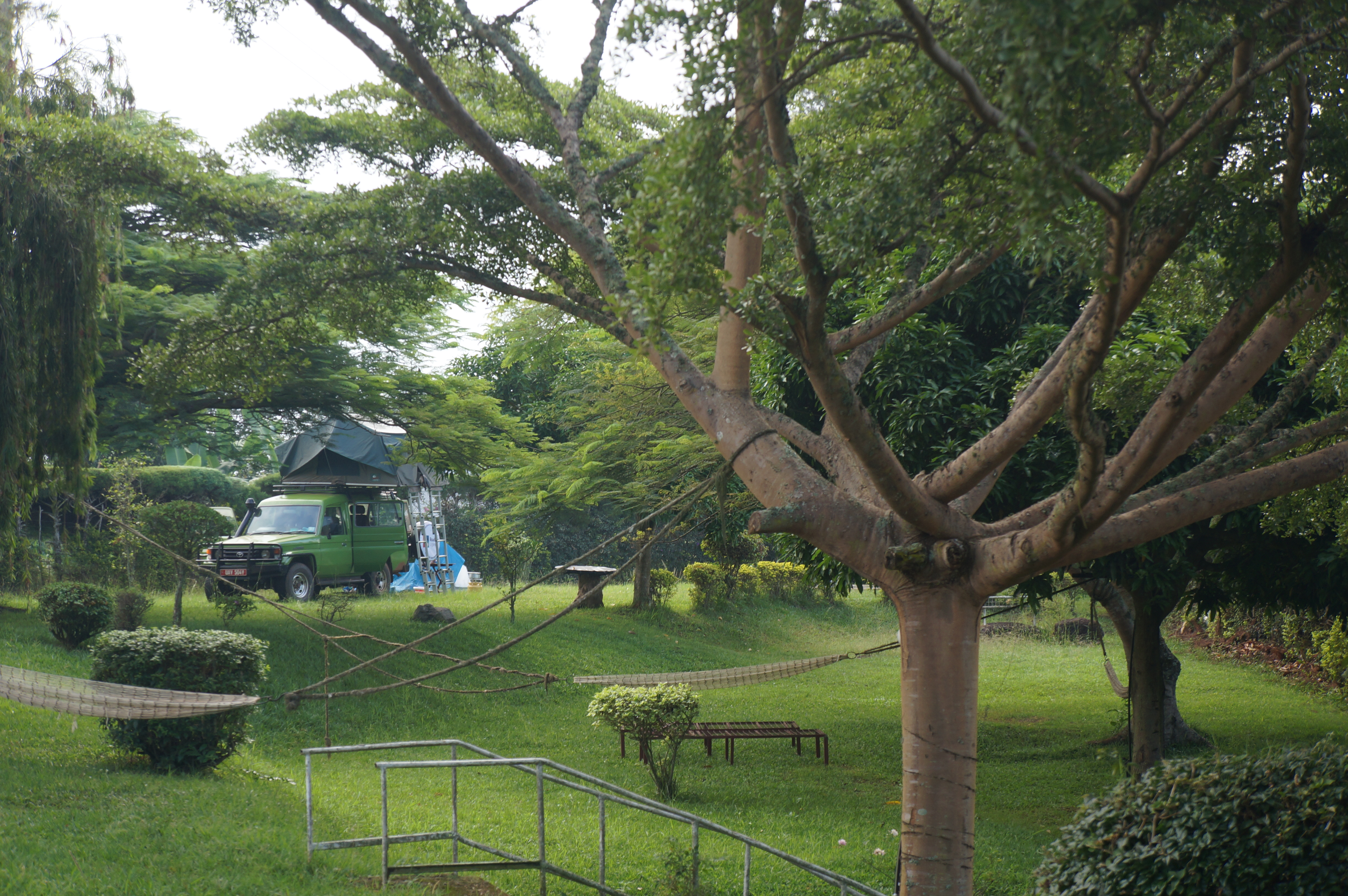 Masaka Backpackers & Campsite