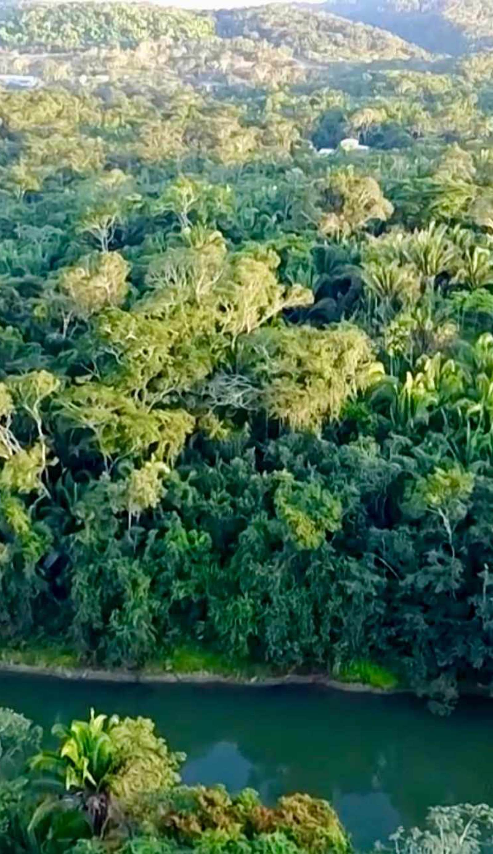 Lower Dover Jungle Lodge & Maya Ruins