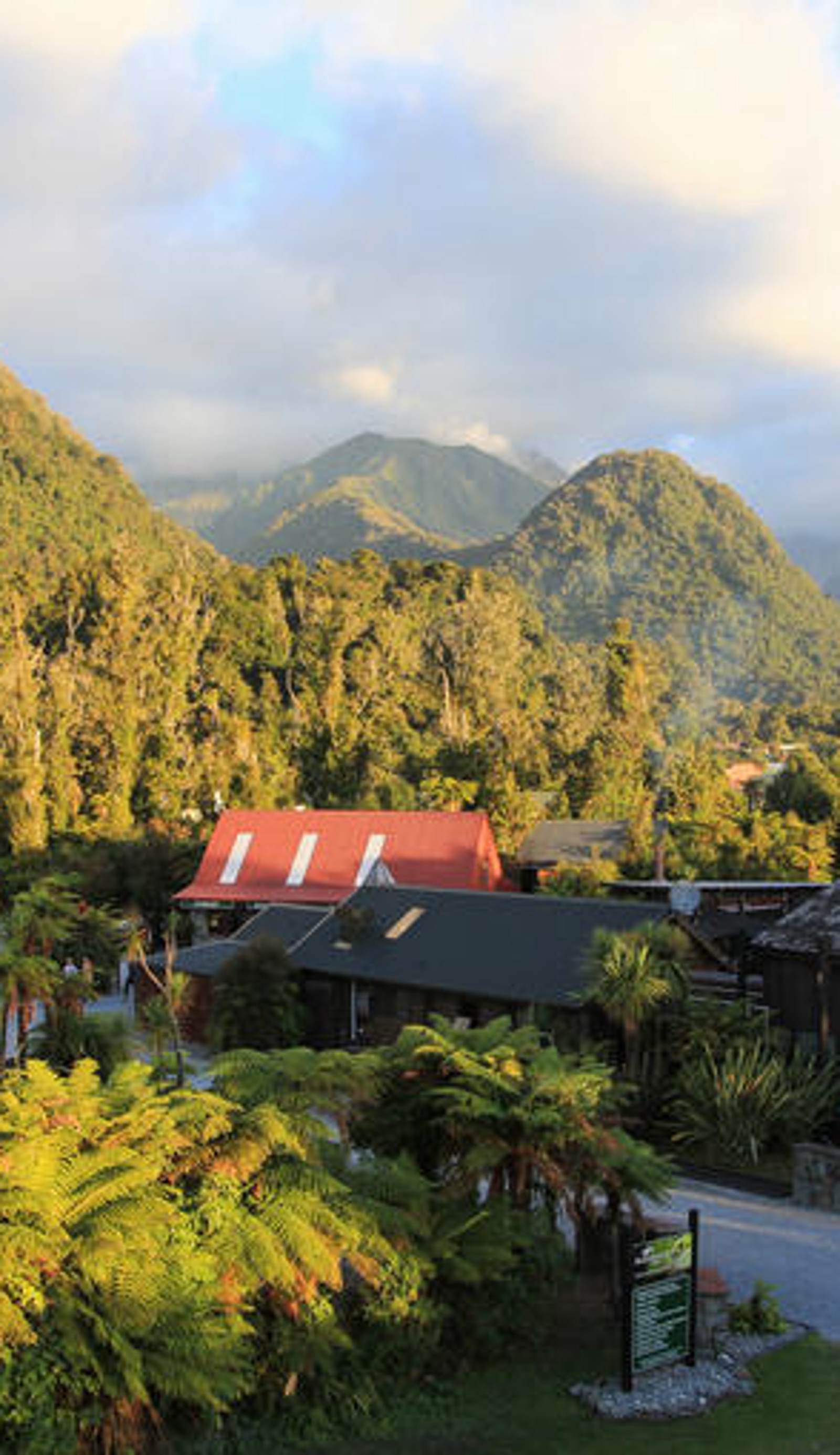 Rainforest Retreat Backpackers