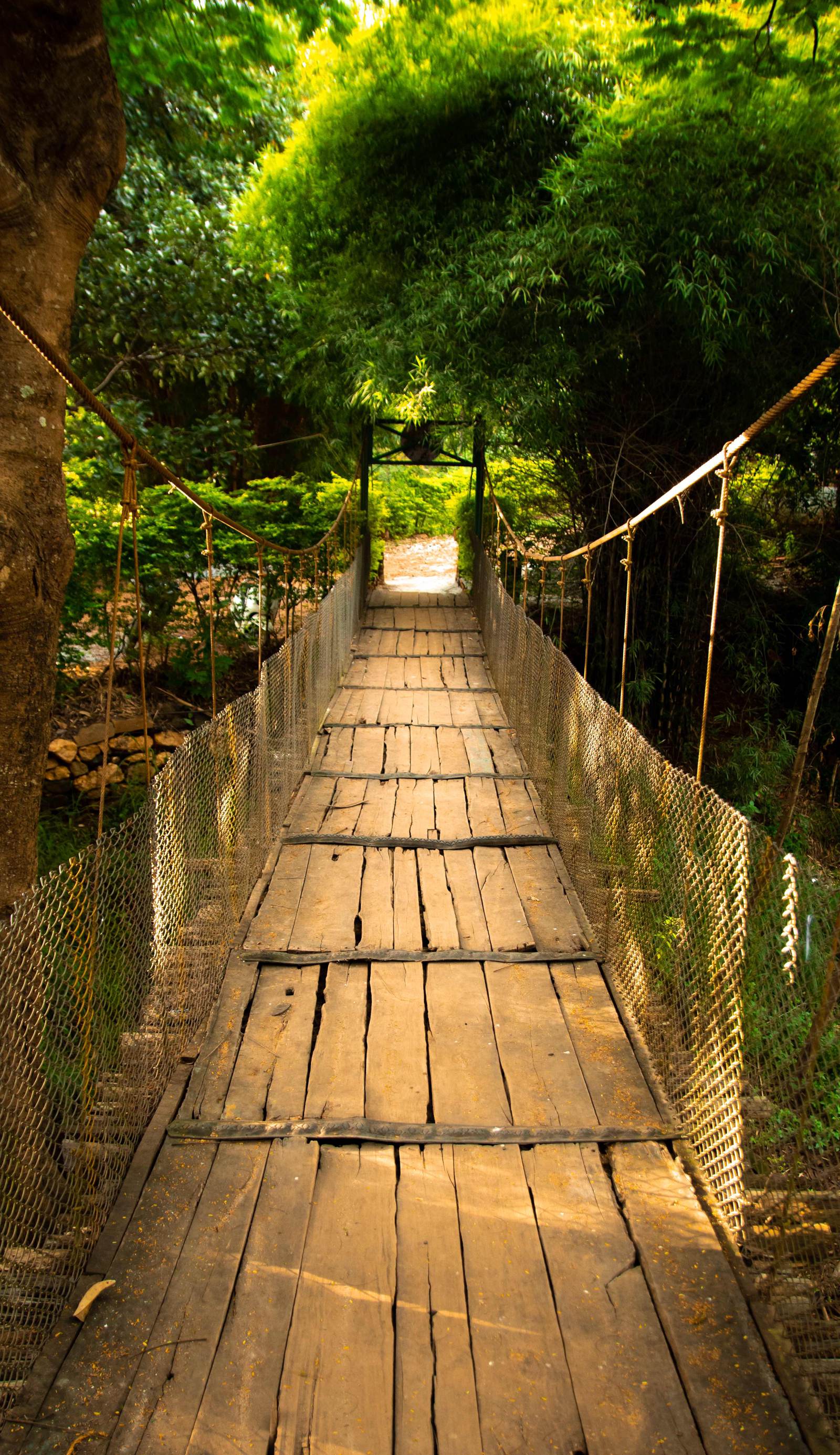 Commune18 Chikkamagaluru