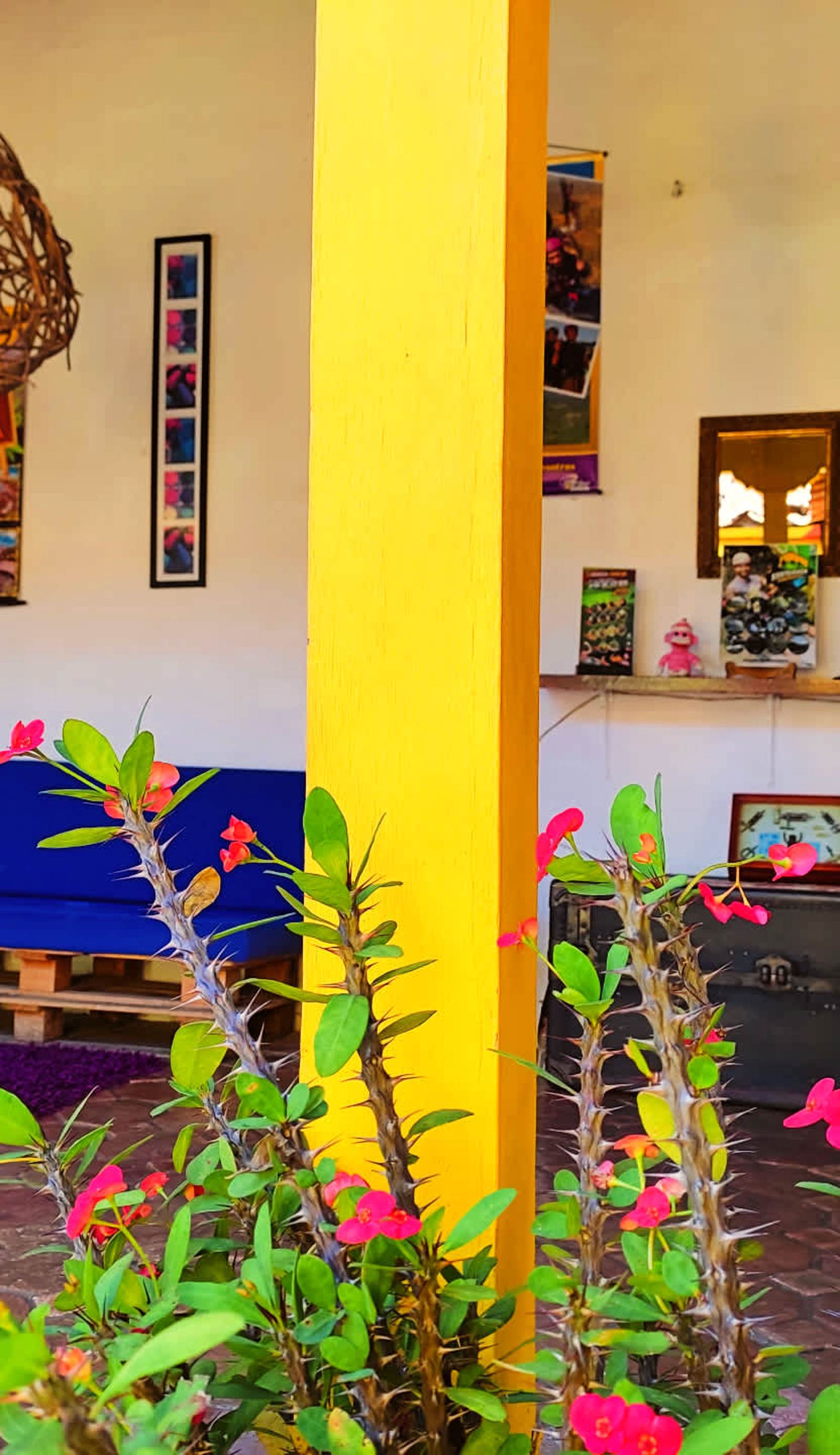 Trip Monkey Hostel Barichara