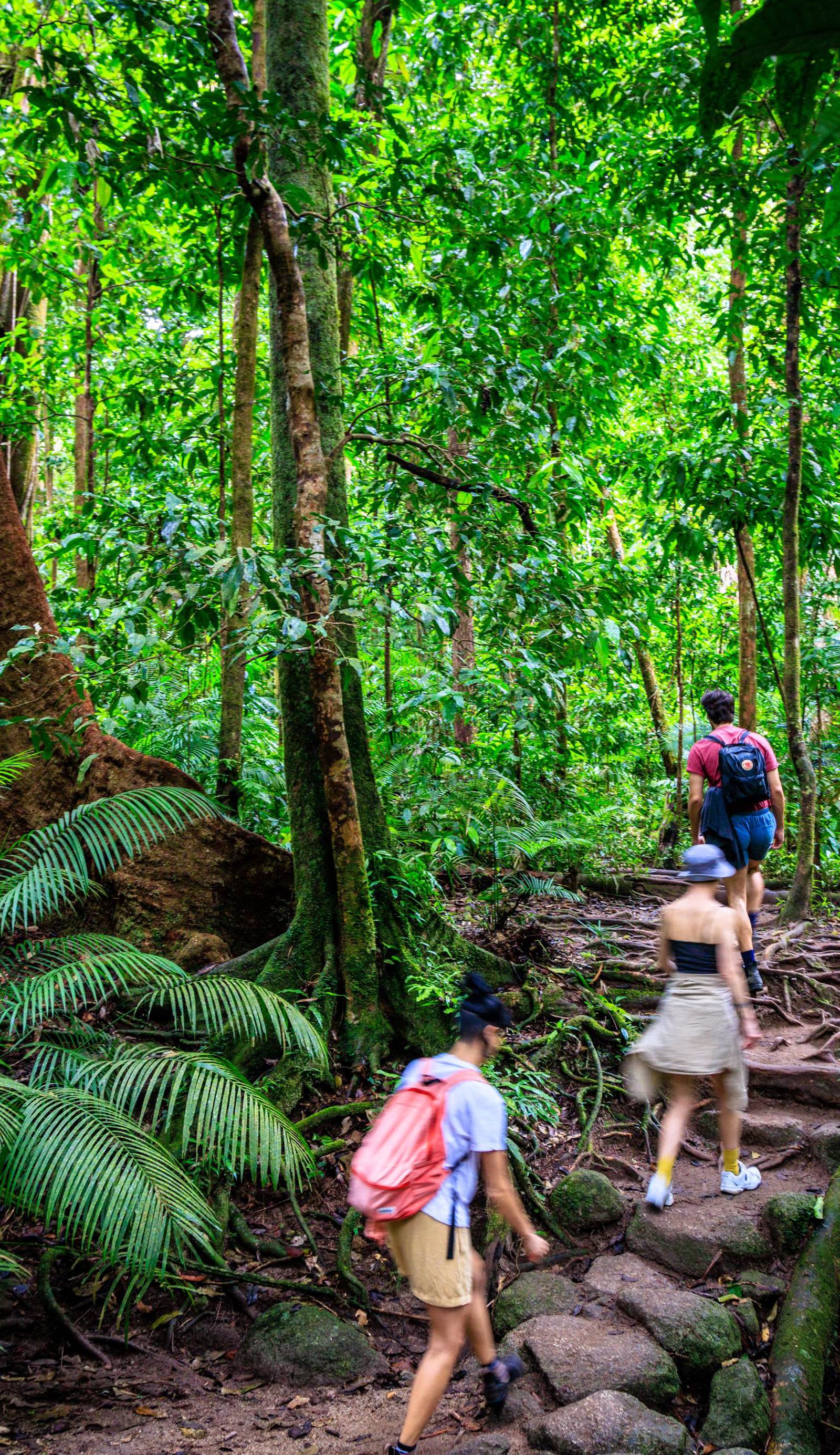 YHA Cairns Central