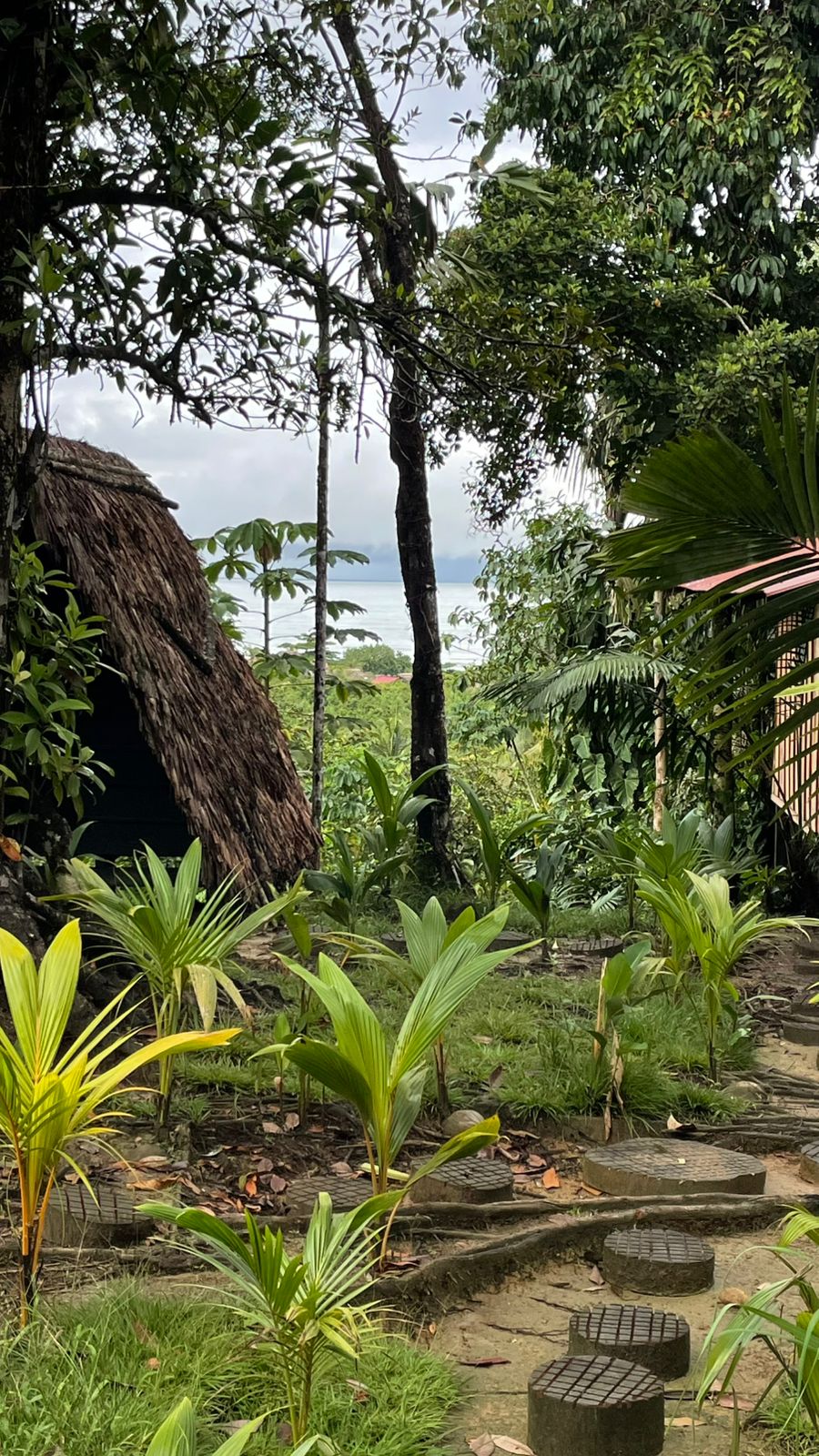 Pacific Dream Hostal