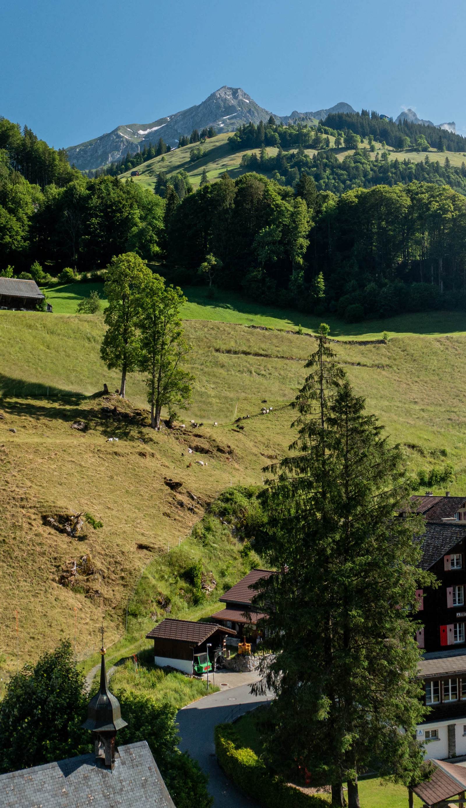 Youth Hostel Engelberg