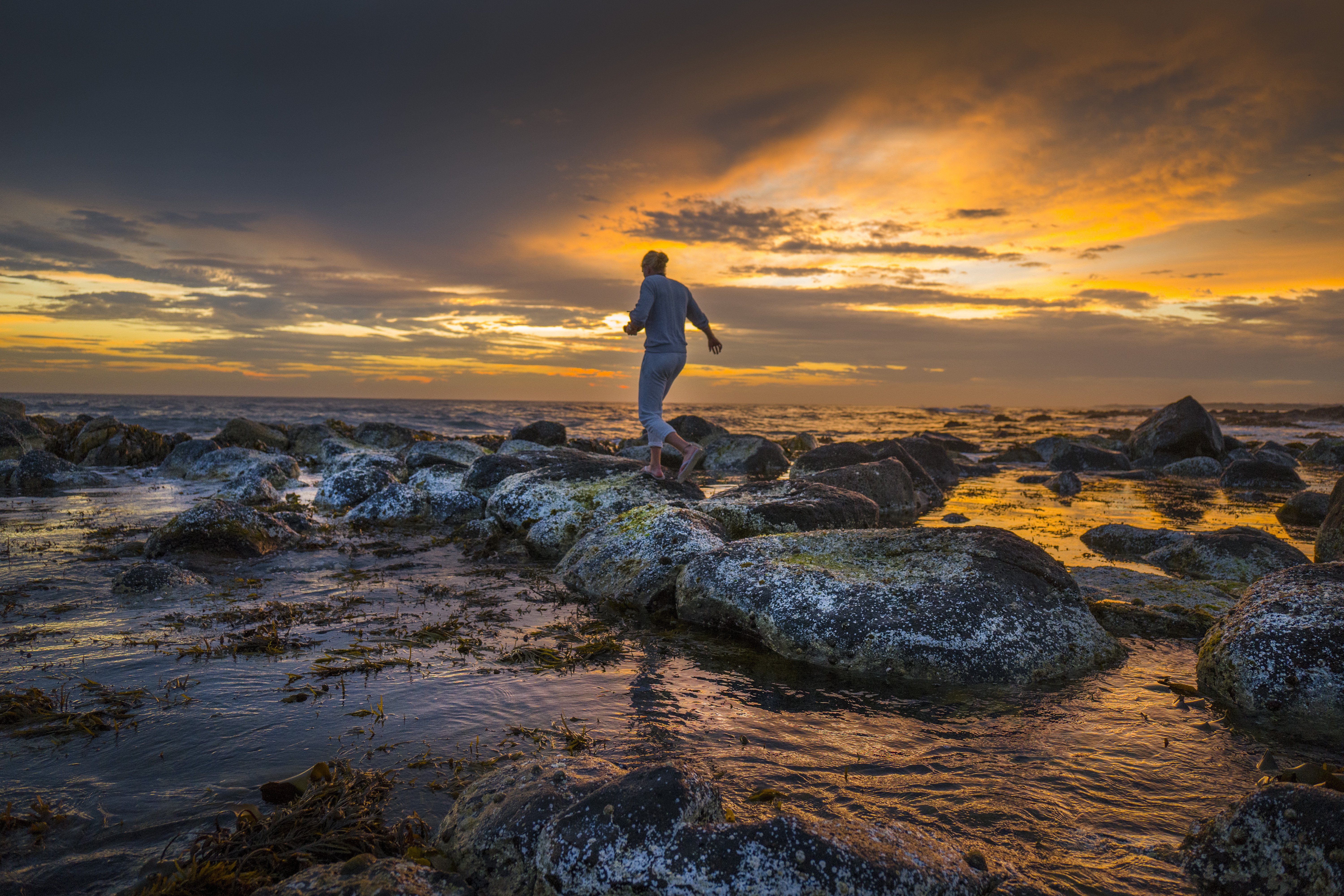 The Wandering Whale Port Fairy