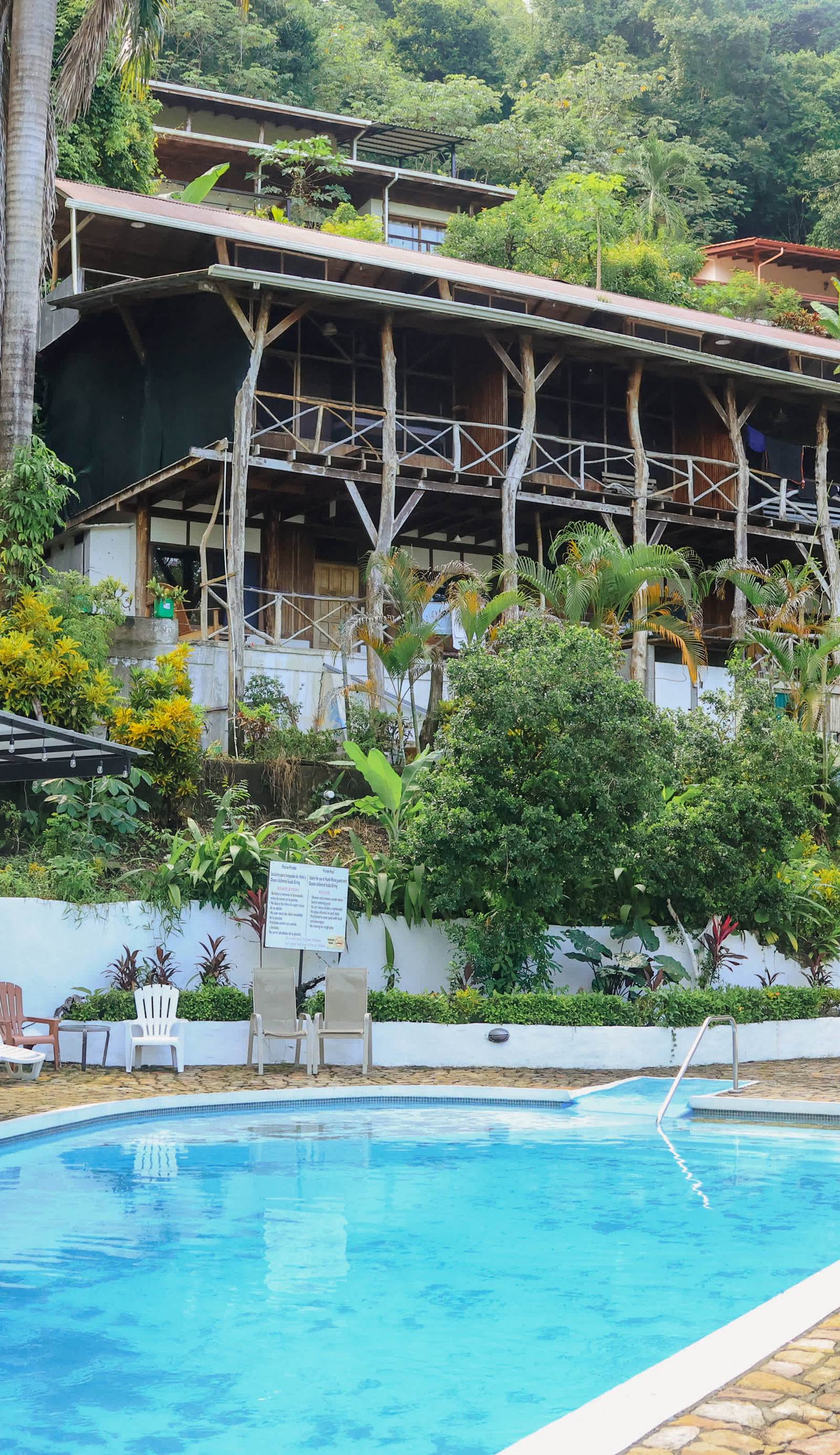 Hostel Plinio