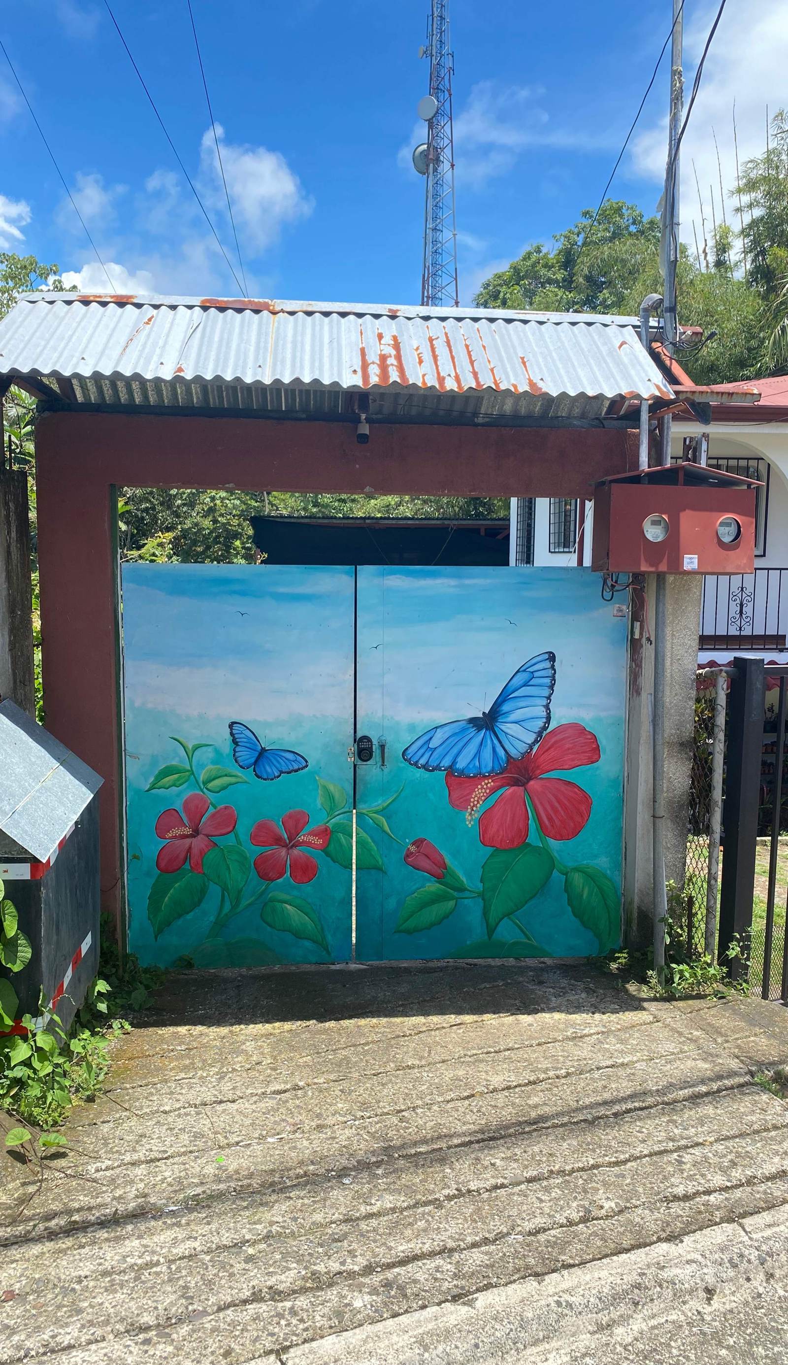 Blue Morpho House Hostel