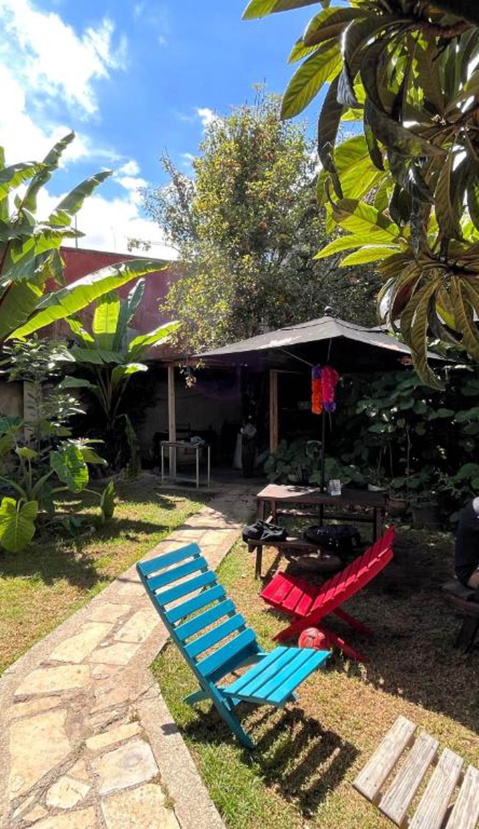 The Coffee Bean Hostel